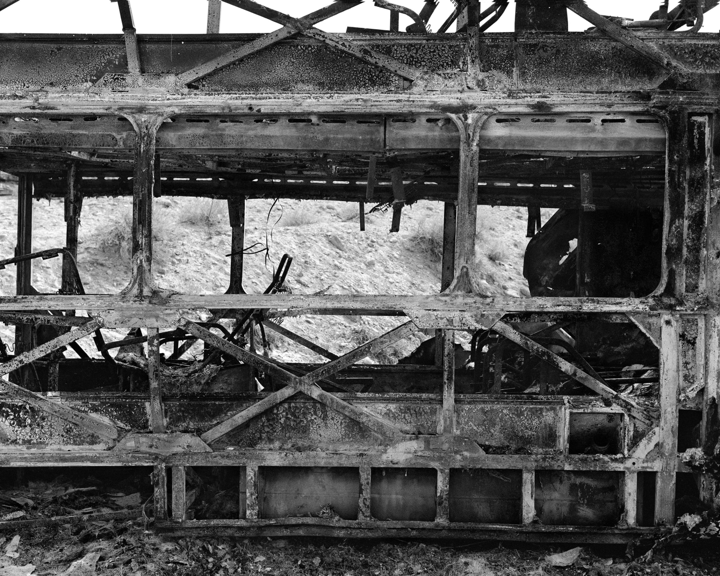 Photograph by Rodrigo Valenzuela