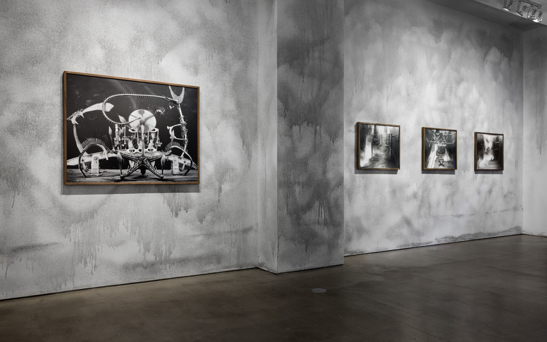 Rodrigo Valenzuela installation view