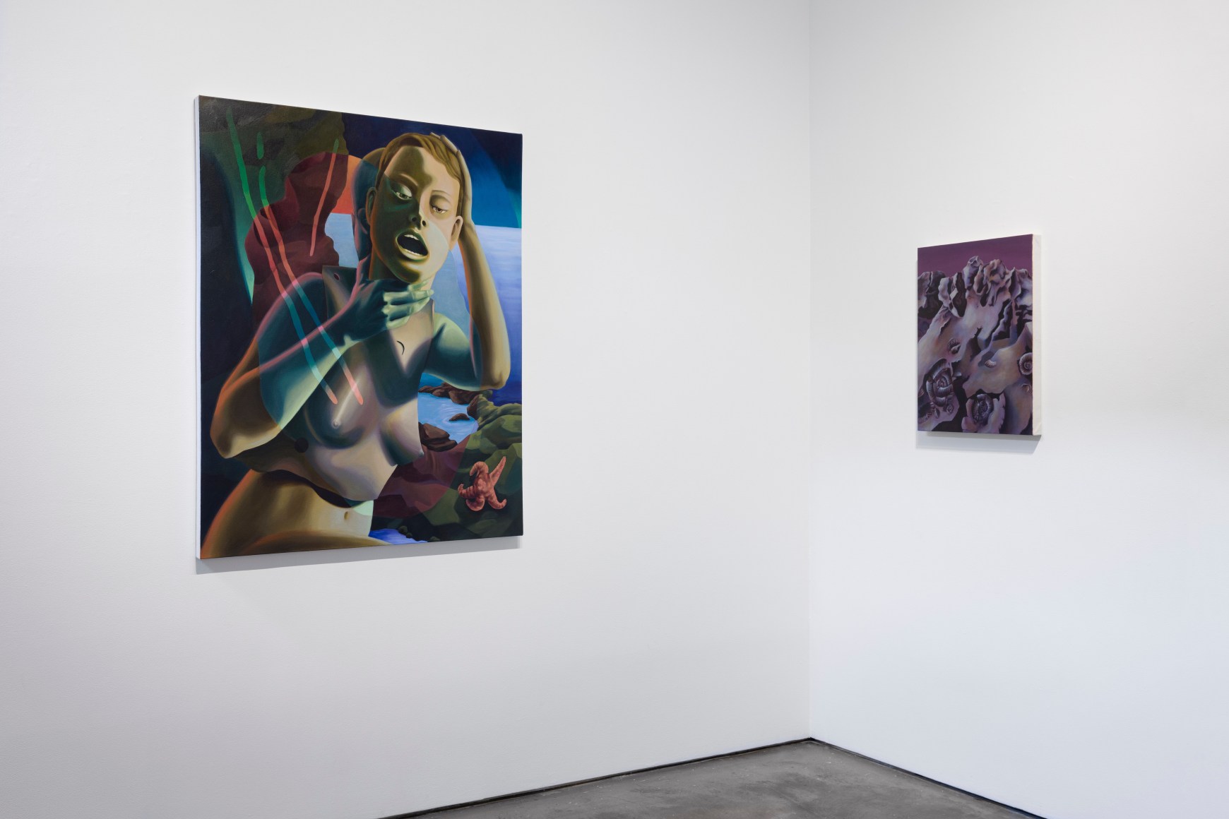 Installation view of Kristen Sanders: "Protoself"