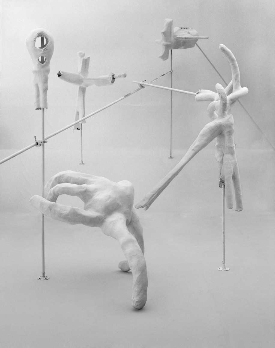 Photograph by Rodrigo Valenzuela