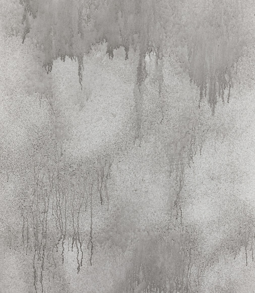 Rodrigo Valenzuela installation view