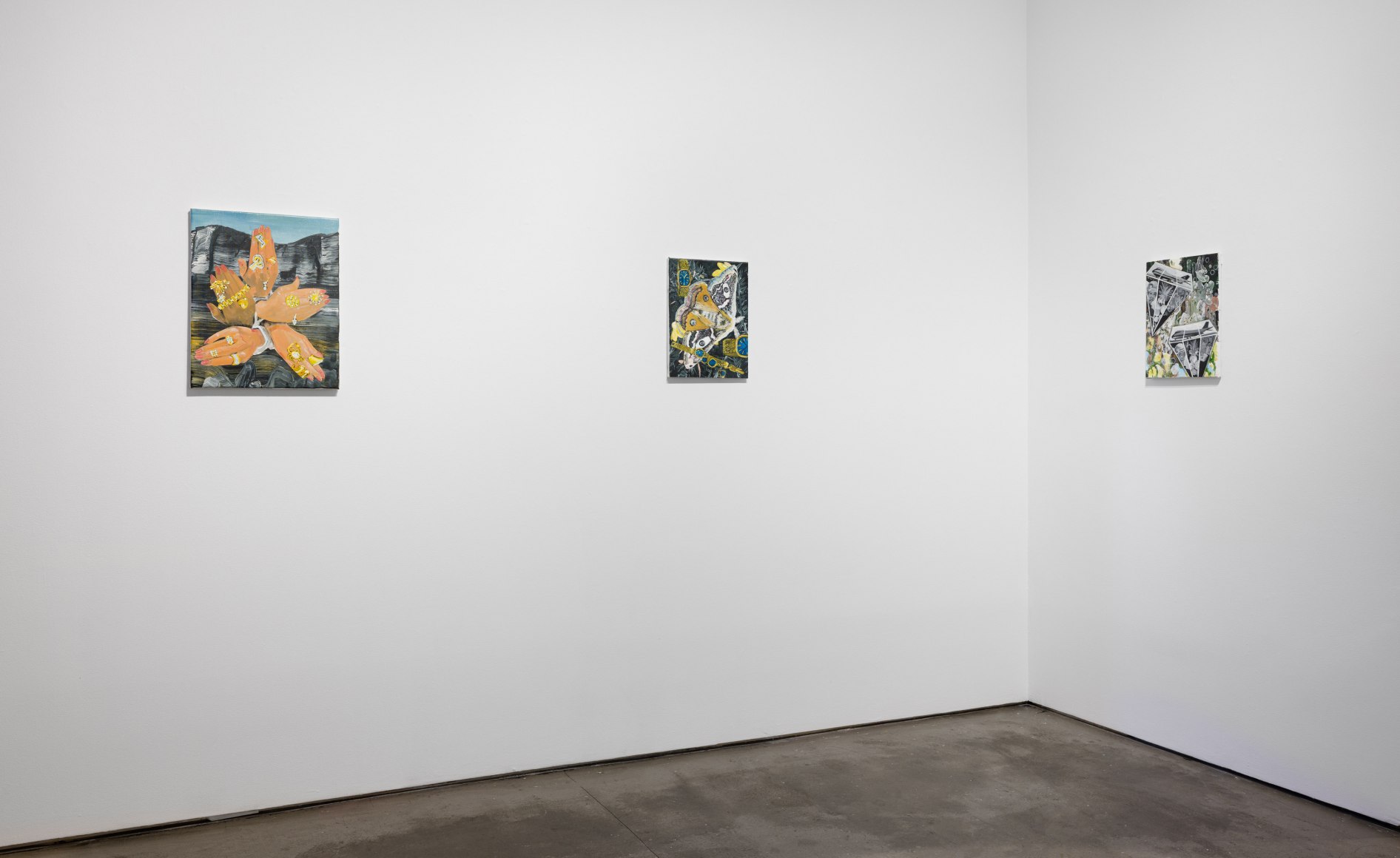 Installation view of paintings by Marjolijn de Wit