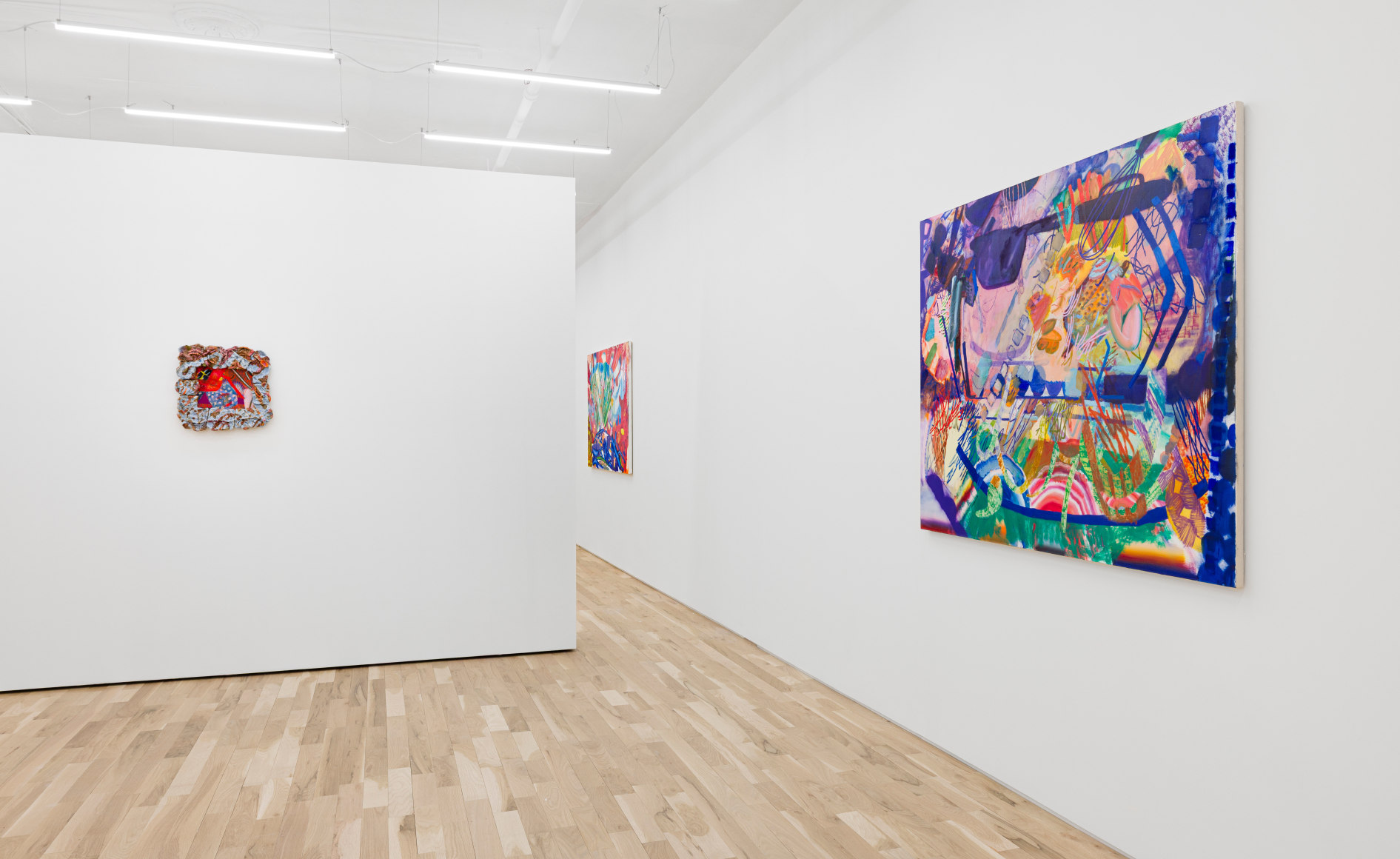 Carolyn Case Wild Domestic Installation View