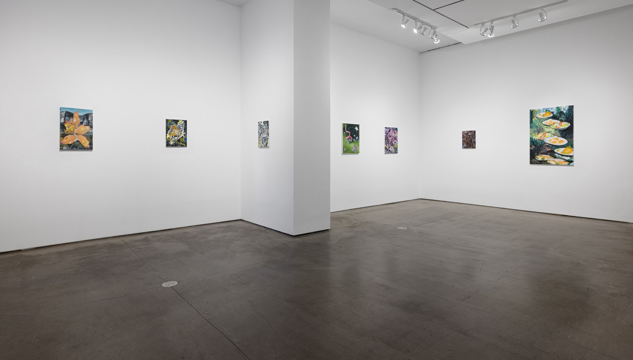 Installation view of paintings by Marjolijn de Wit