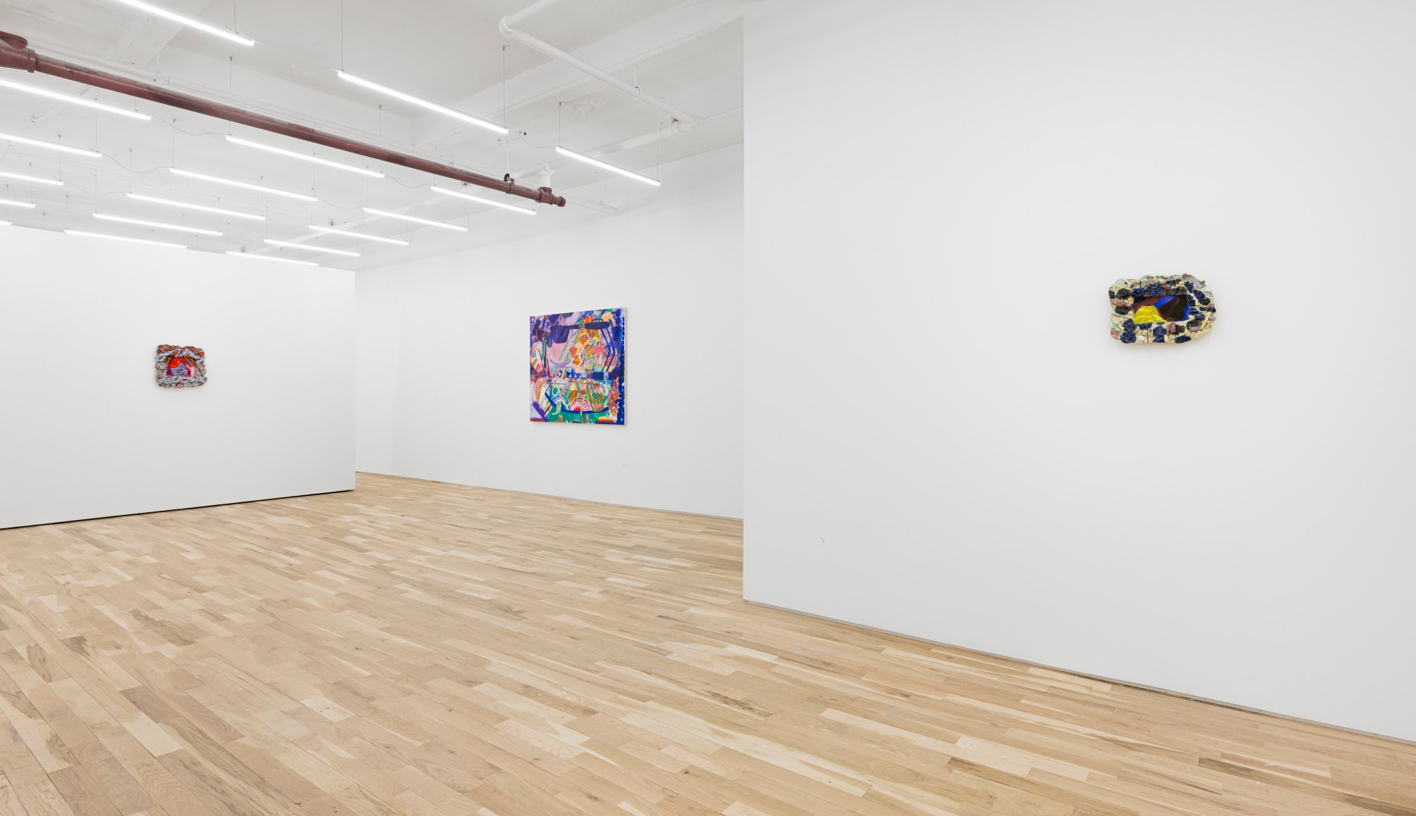 Carolyn Case Wild Domestic Installation View