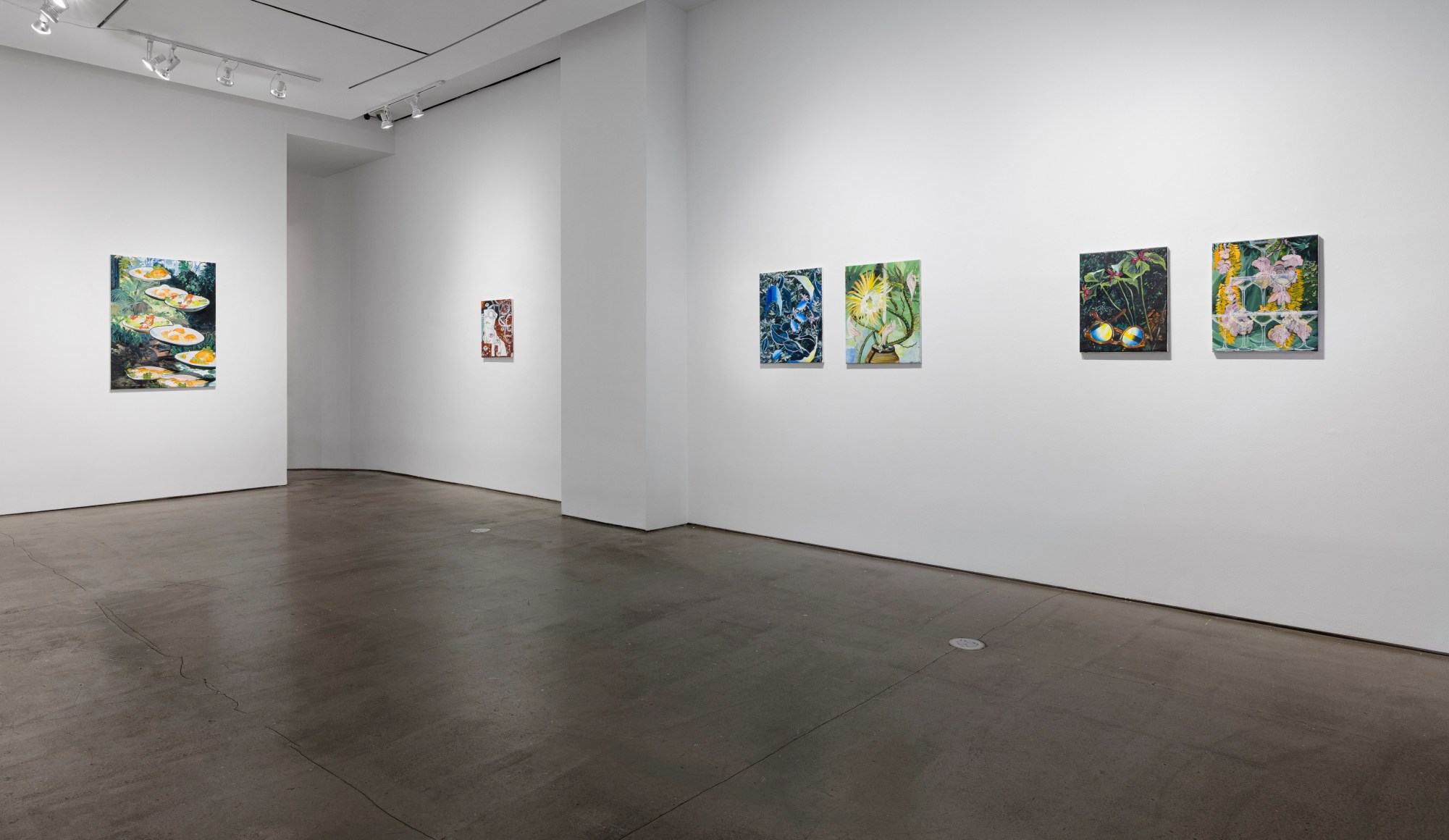Installation view of paintings by Marjolijn de Wit