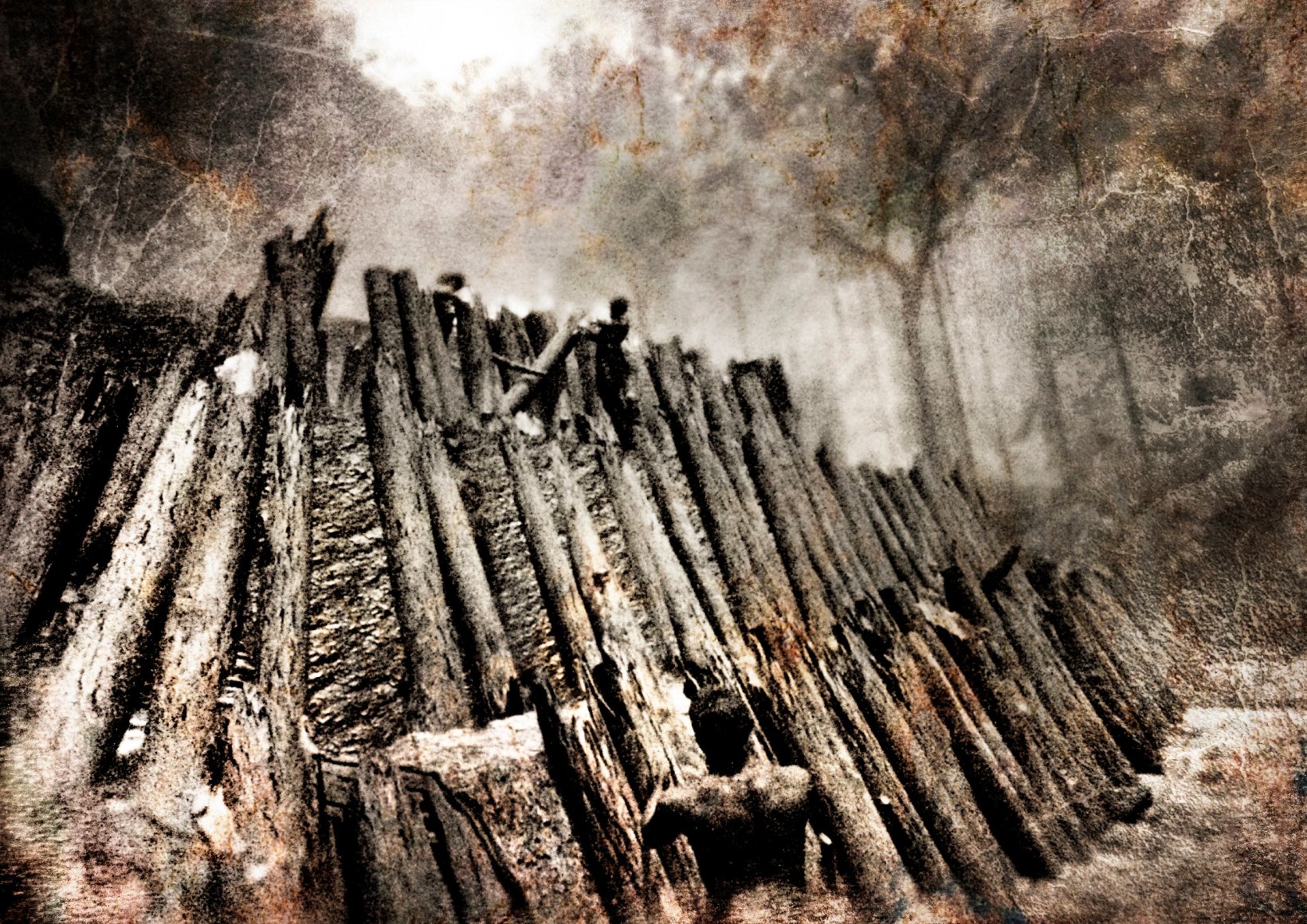 Photograph by Jasper de Beijer