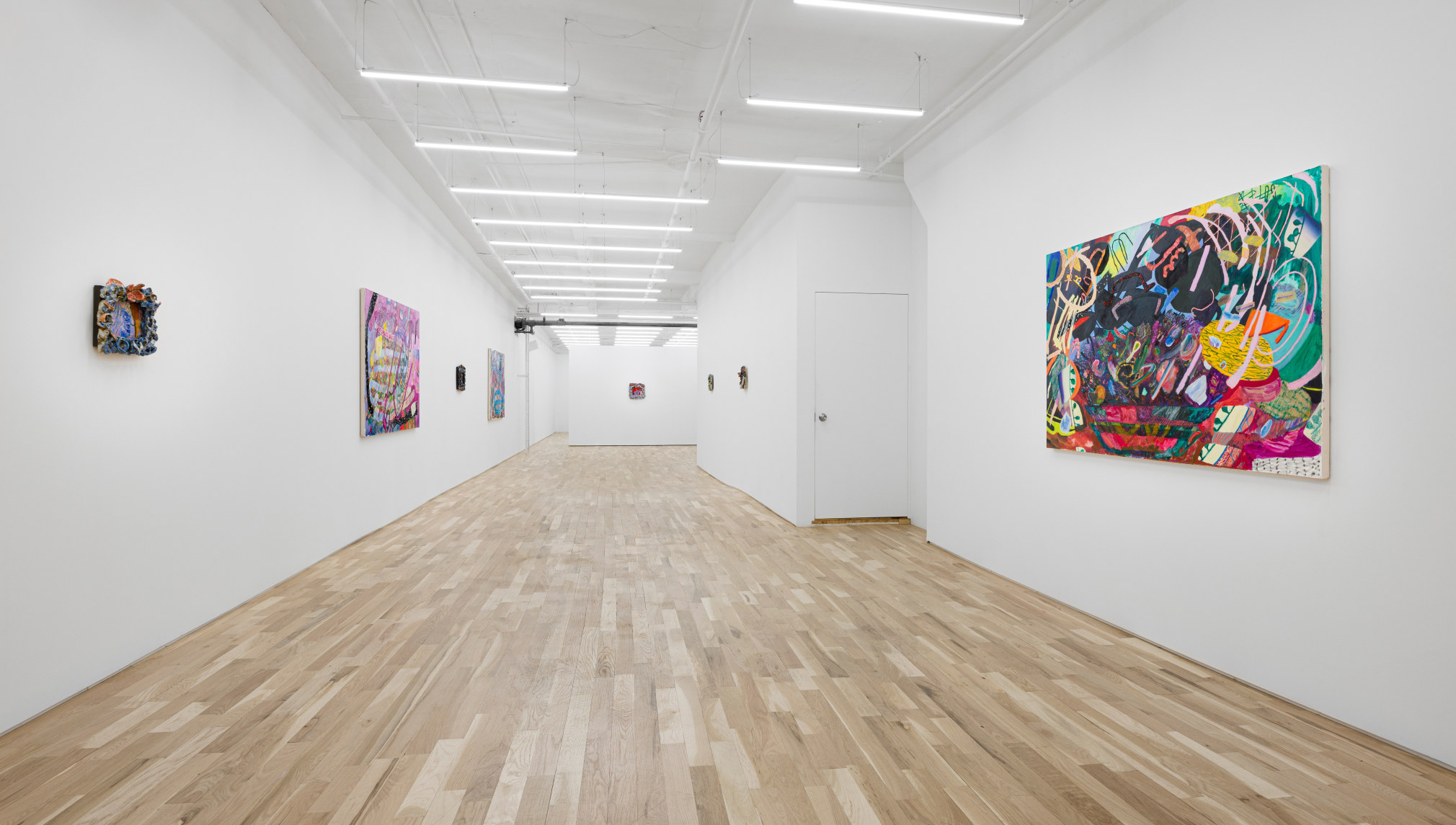 Carolyn Case Wild Domestic Installation View