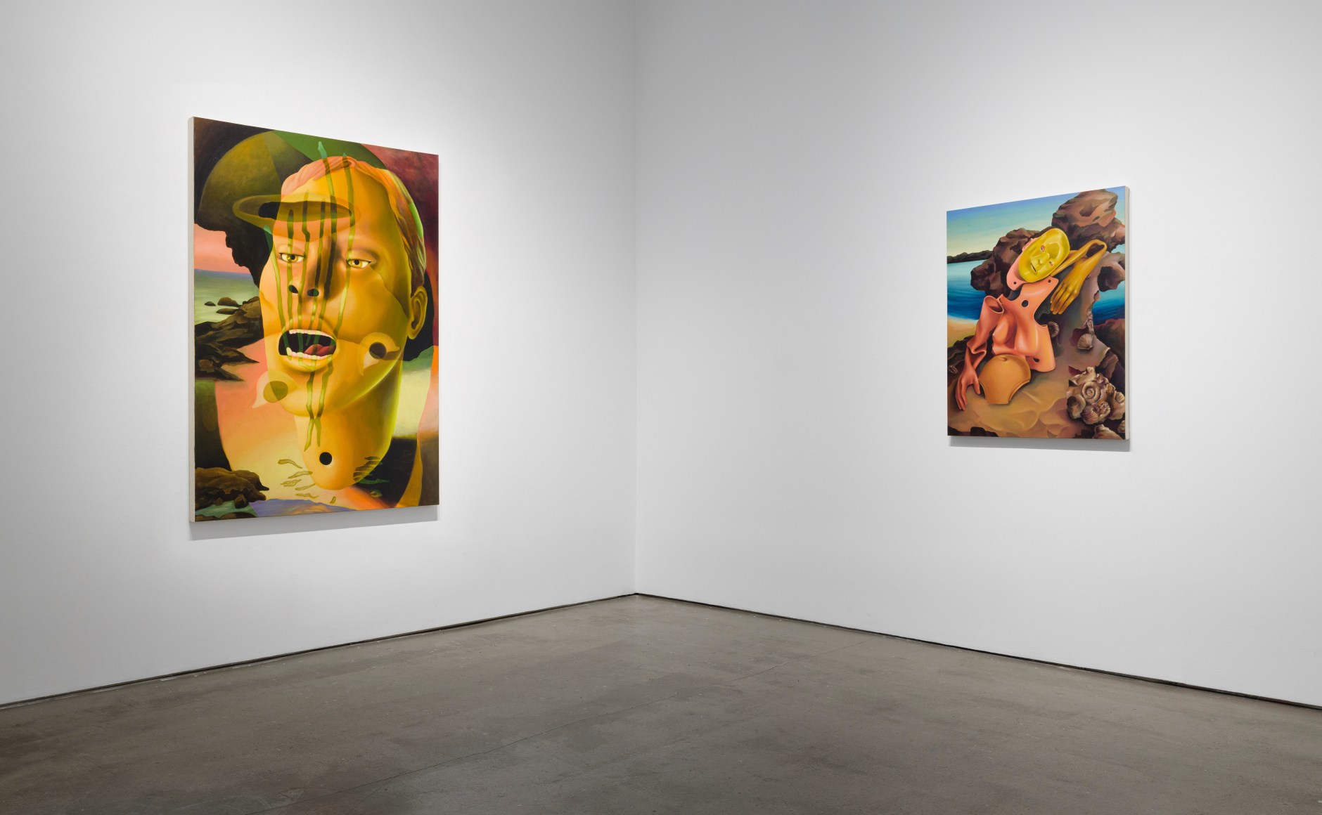 Installation view of Kristen Sanders: "Protoself"