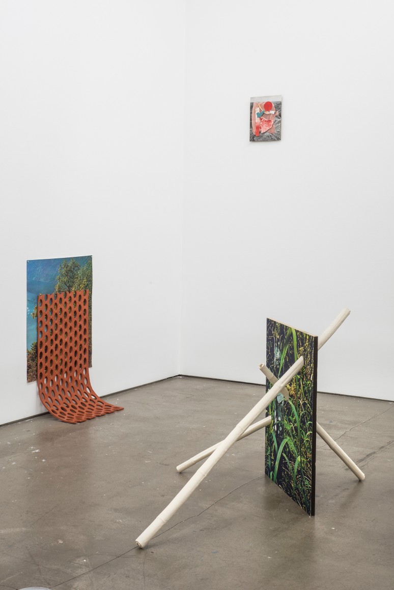 Installation of works by Marjolijn de Wit