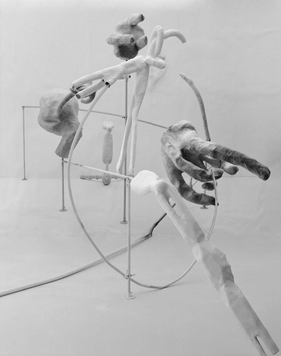 Photograph by Rodrigo Valenzuela