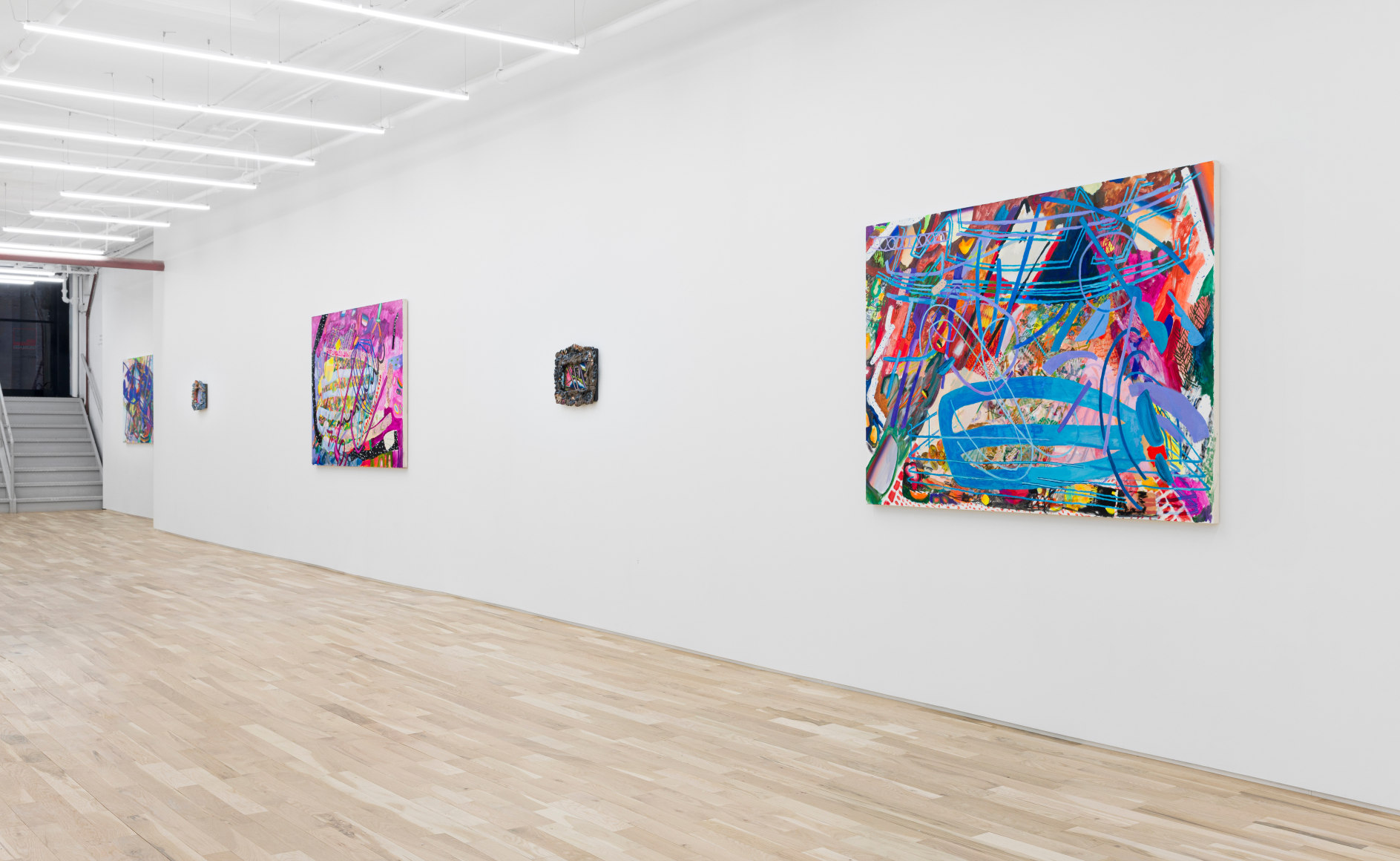 Carolyn Case Wild Domestic Installation View