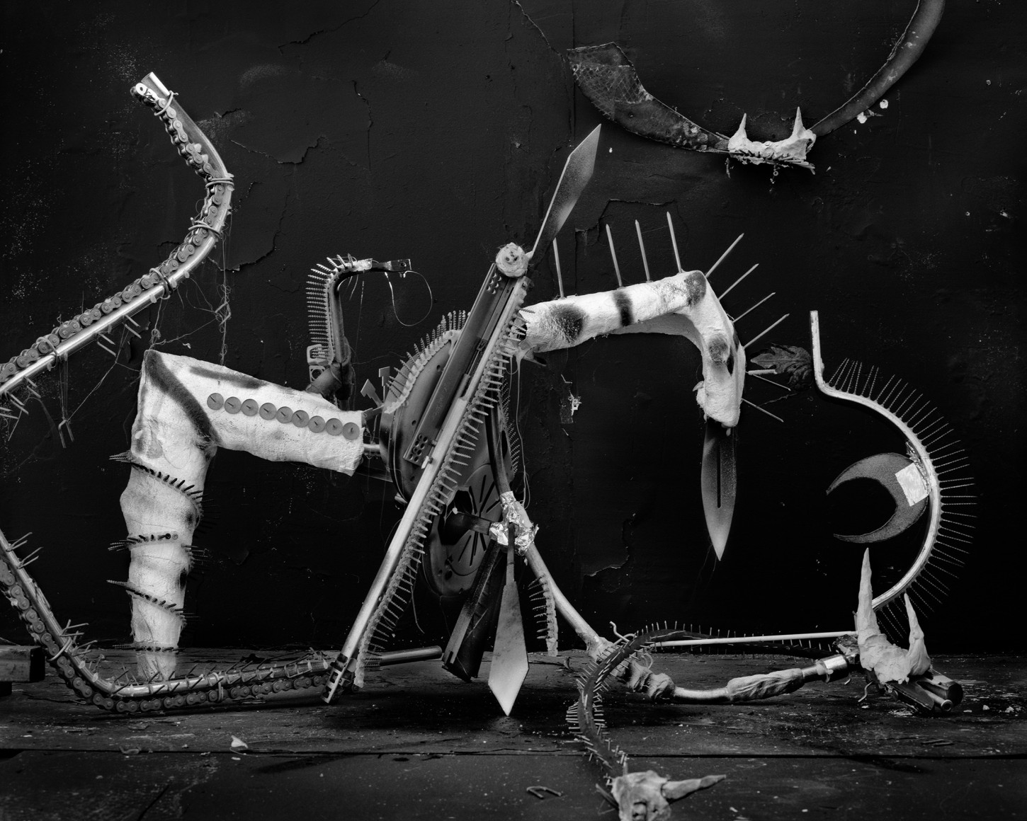 Photograph by Rodrigo Valenzuela