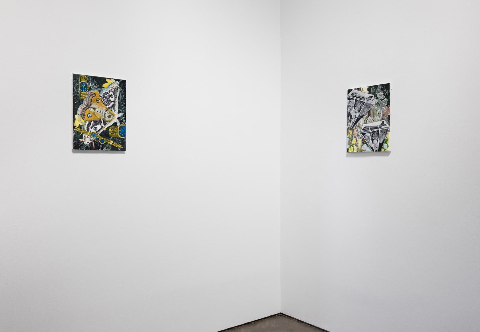 Installation view of paintings by Marjolijn de Wit