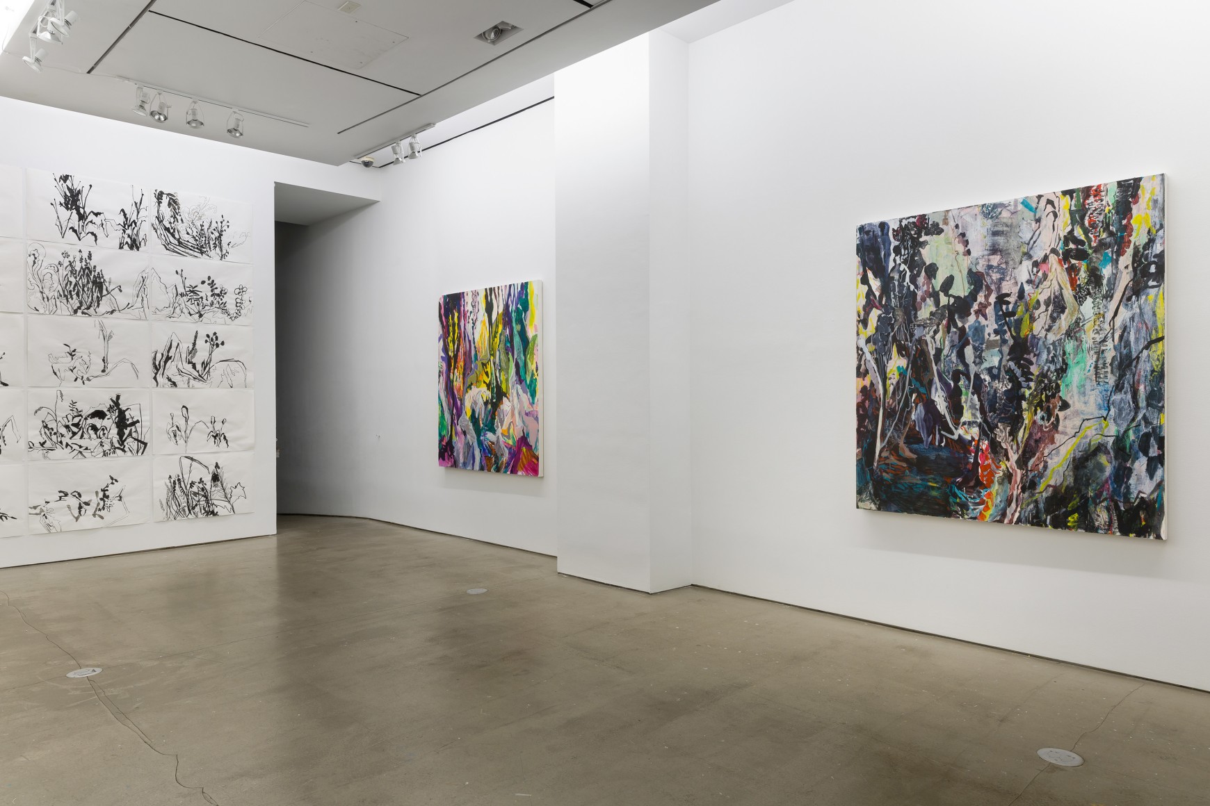 Installation view of Allison Gildersleeve's solo exhibition. Depicting abstracted floral paintings and drawings on the wall
