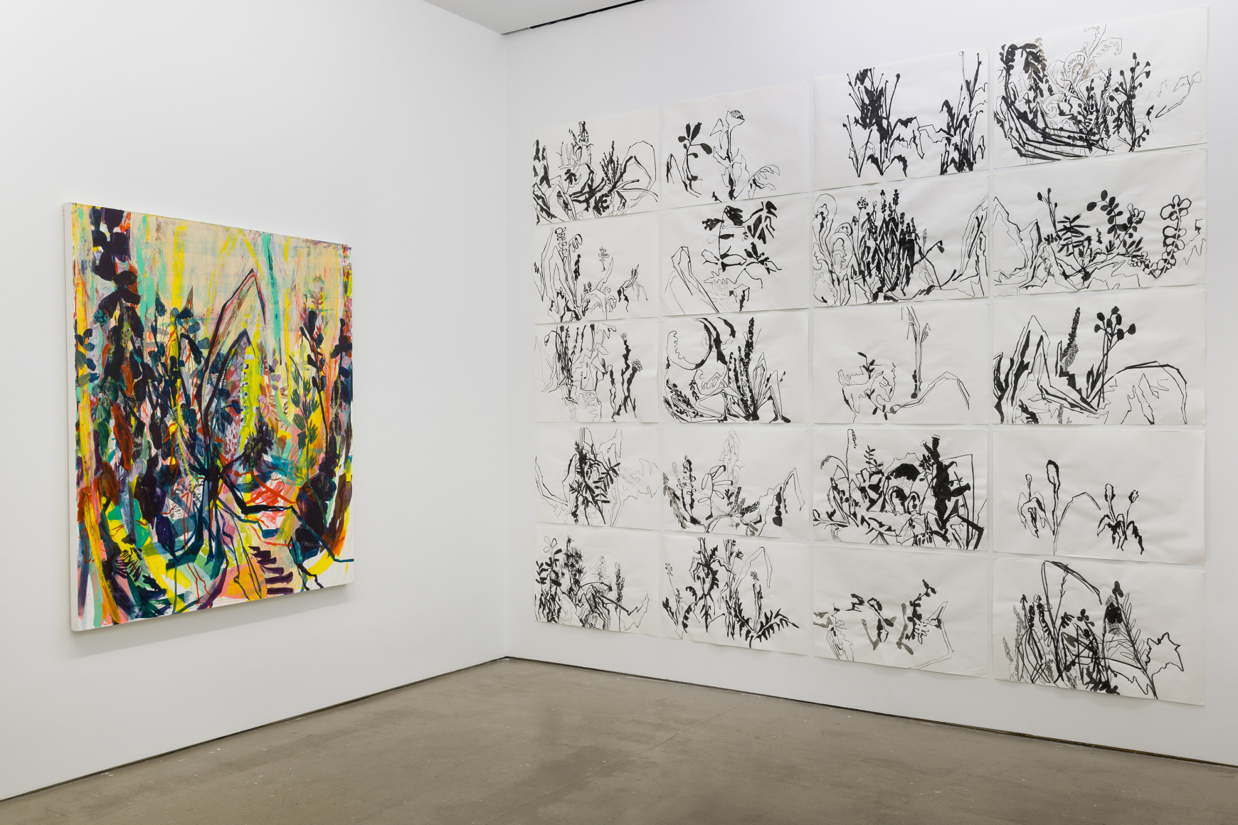 Installation view of Allison Gildersleeve's solo exhibition. Depicting abstracted floral paintings and drawings on the wall
