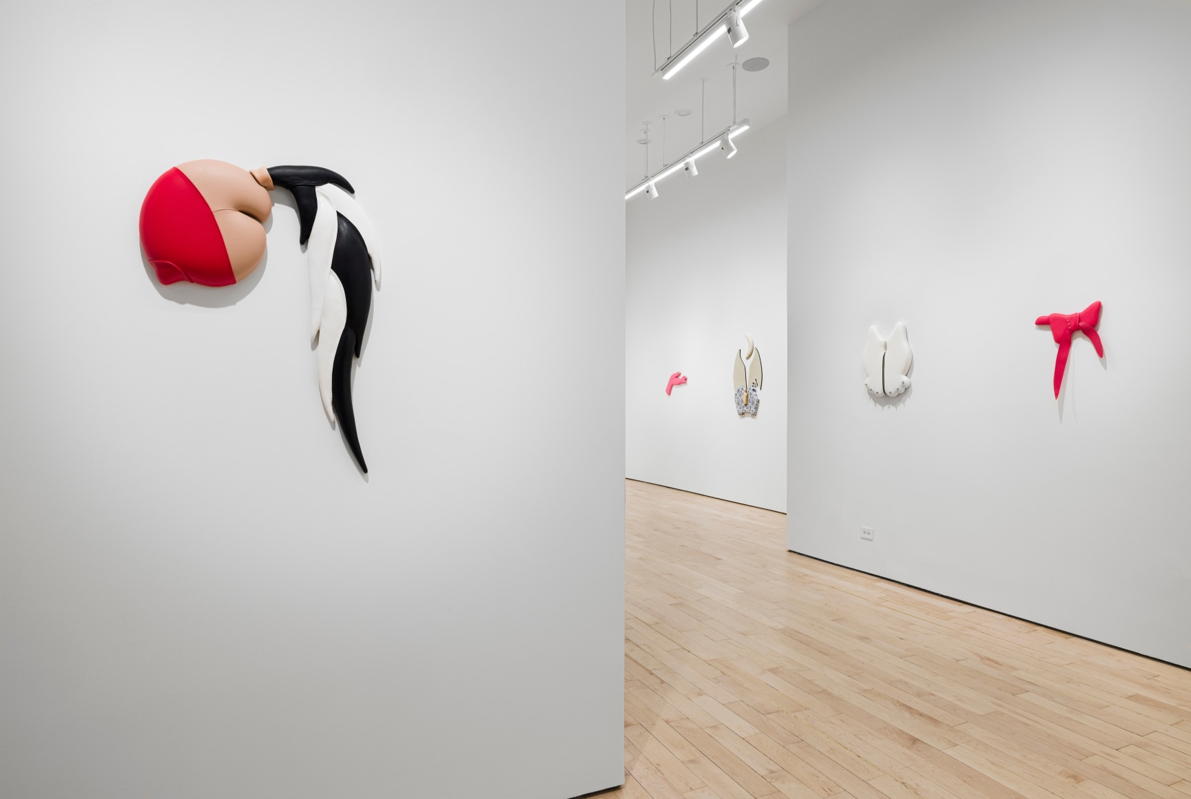 Trish Tillman Grooming Kit Installation View