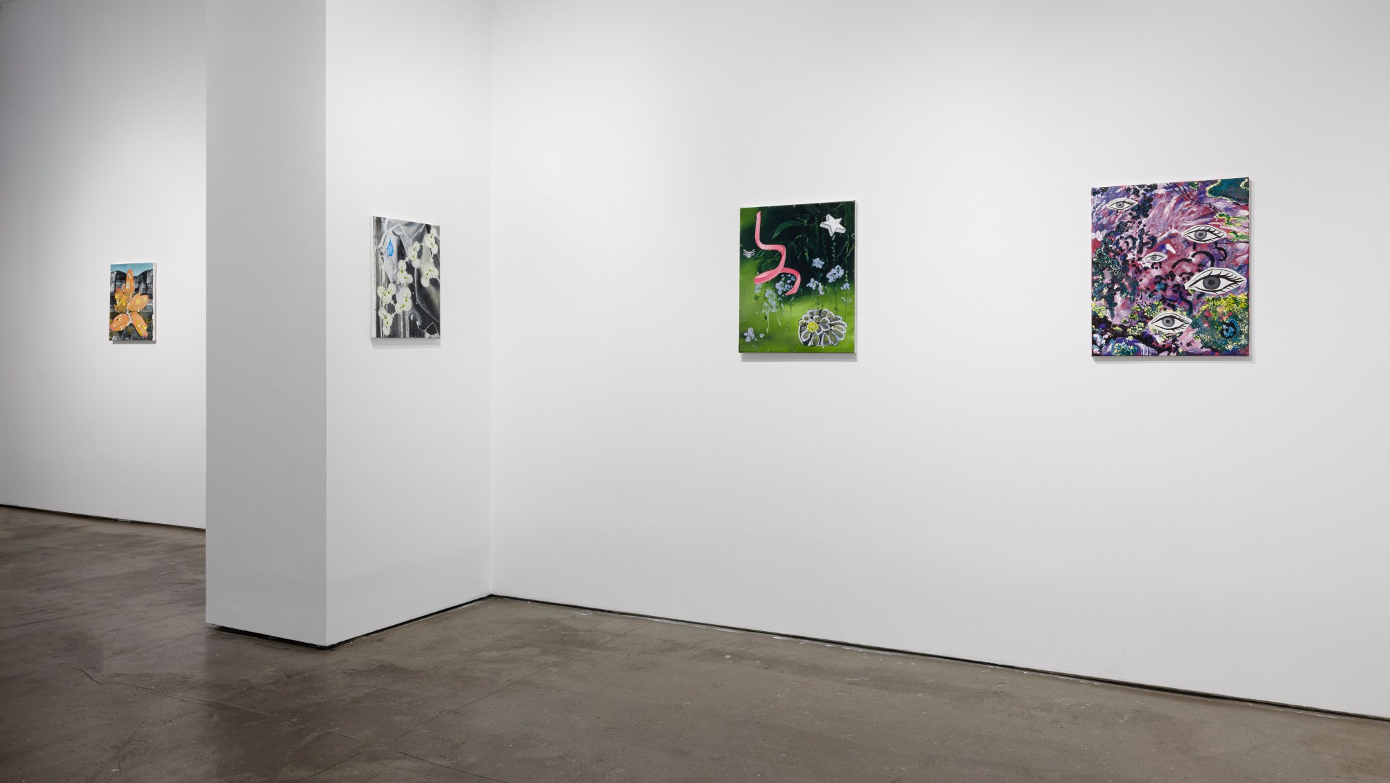 Installation view of paintings by Marjolijn de Wit