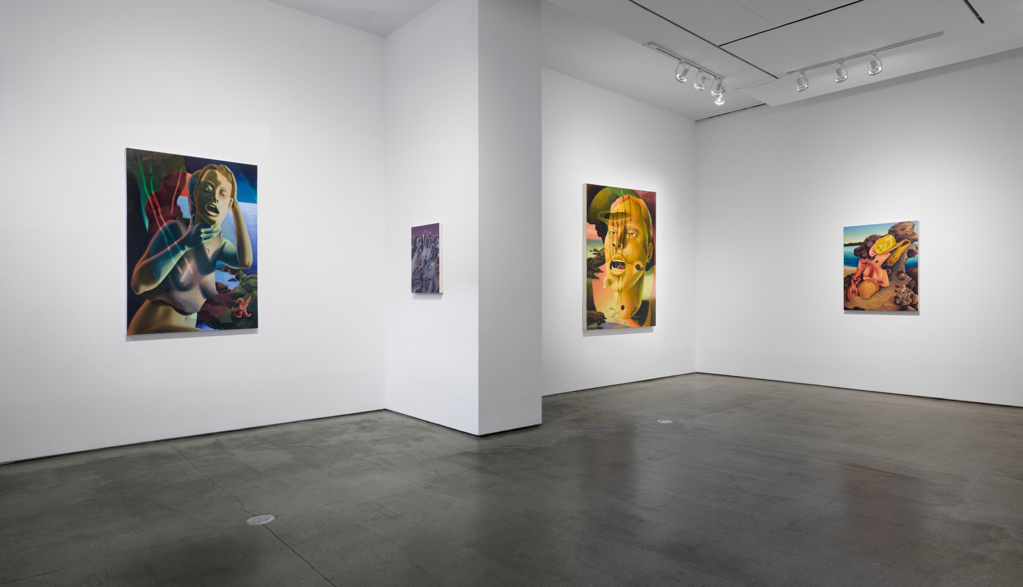 Installation view of Kristen Sanders: "Protoself"