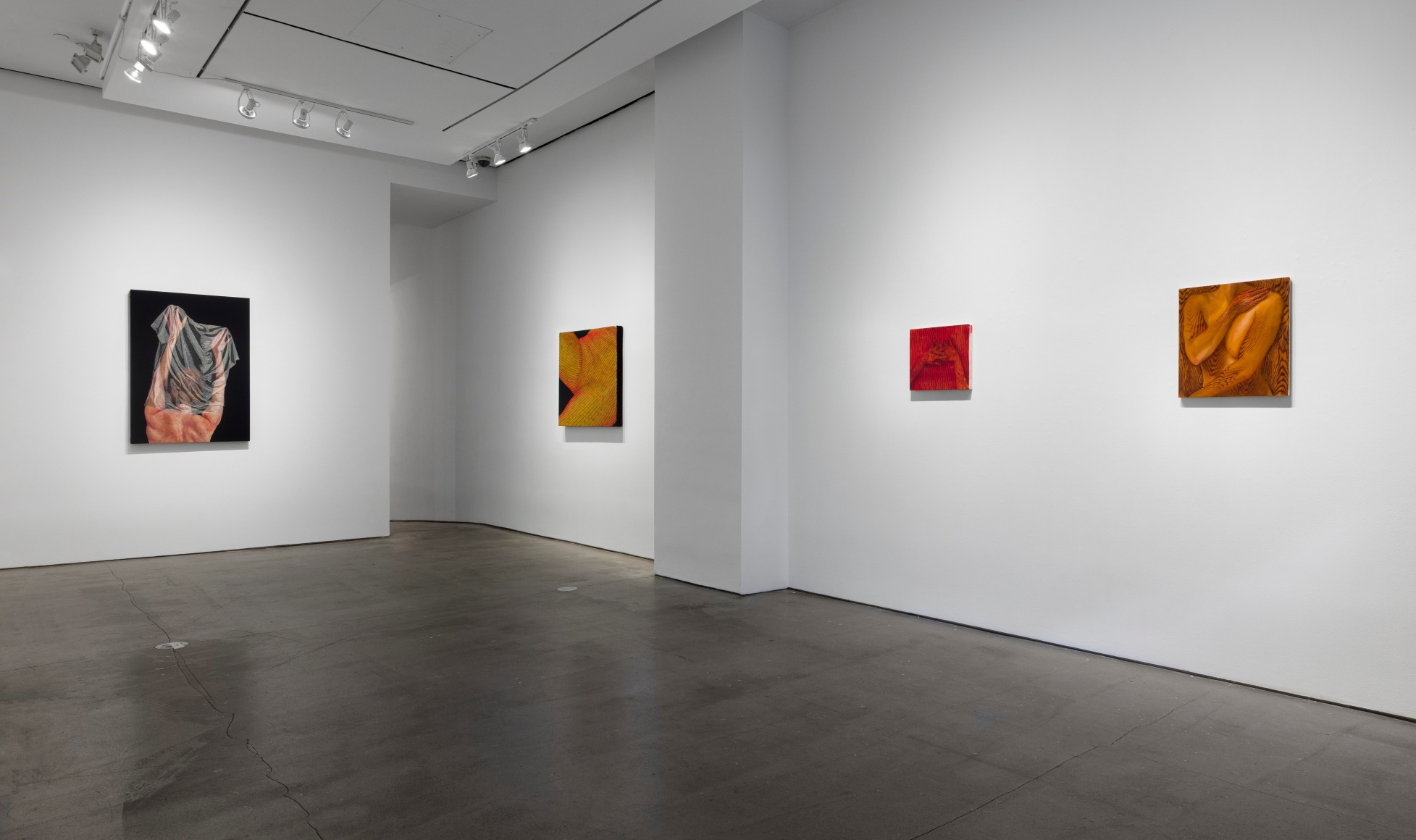 Installation view of Katarina Riesing "She Shed"