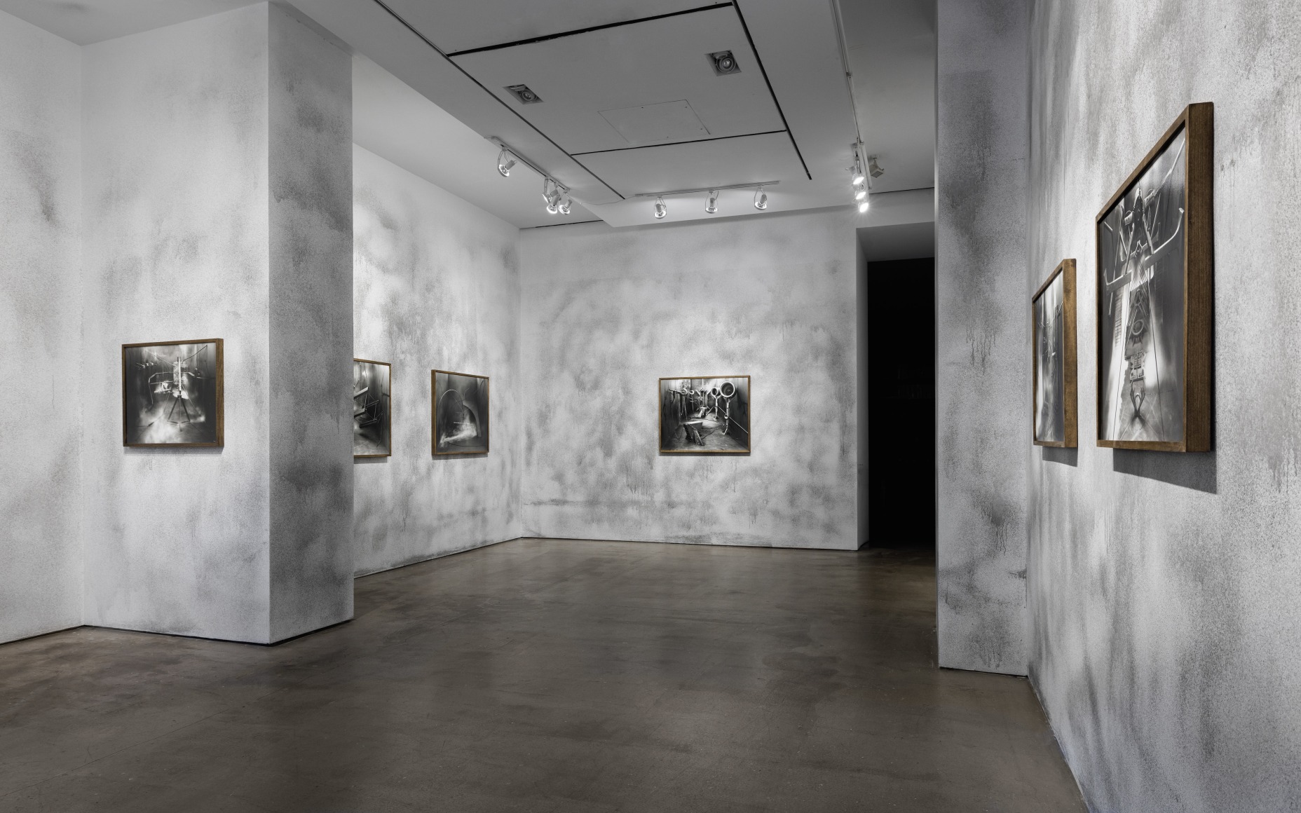 Rodrigo Valenzuela installation view