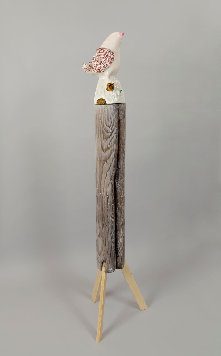 Boobie Bird, 2012, Porcelain and wood, liming wax