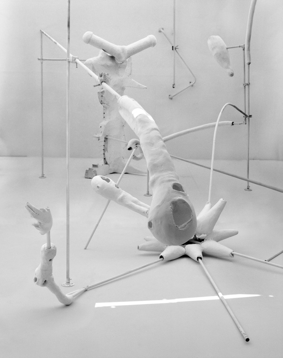 Photograph by Rodrigo Valenzuela