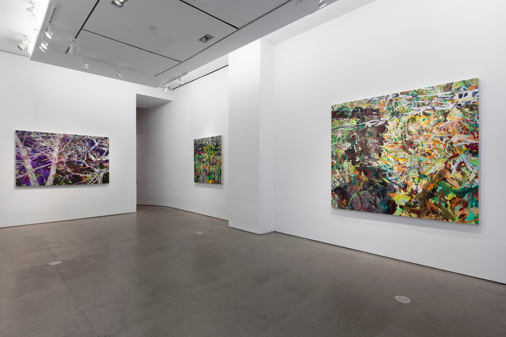 Installation of paintings by Allison Gildersleeve