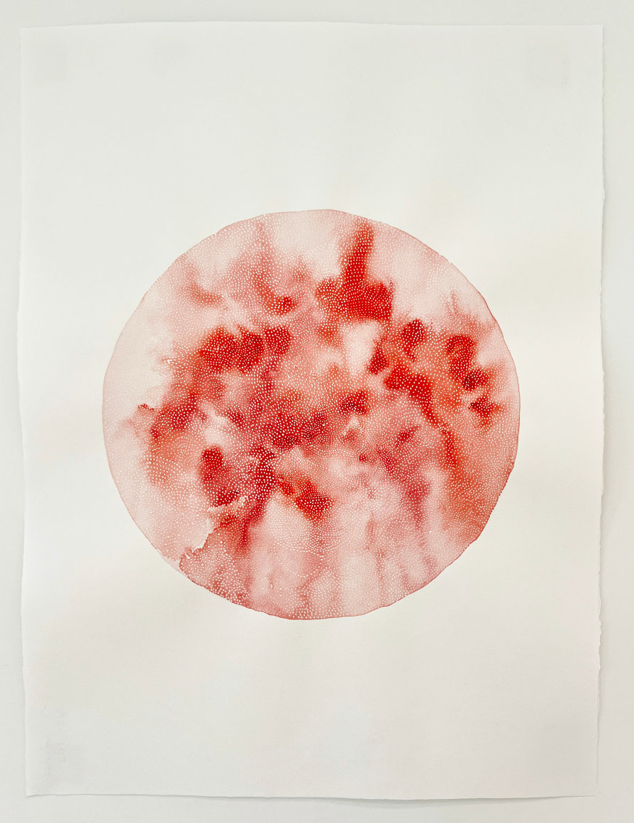 Work on paper by Ani Liu