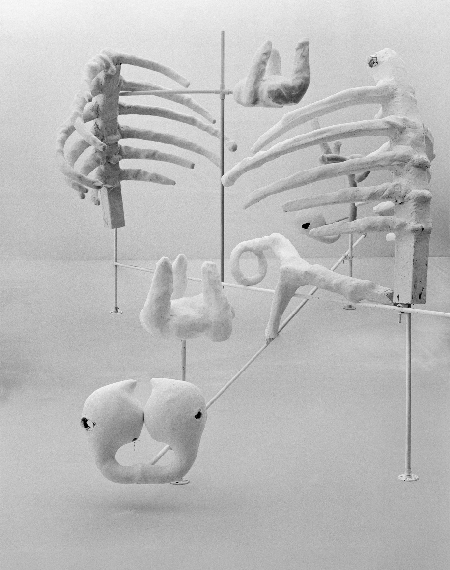 Photograph by Rodrigo Valenzuela