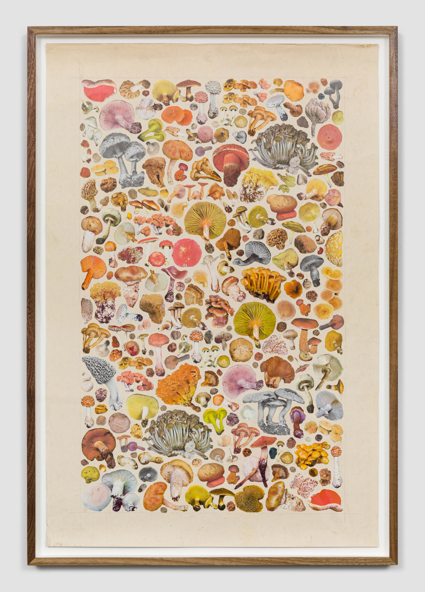 Work on paper by Matthew Craven