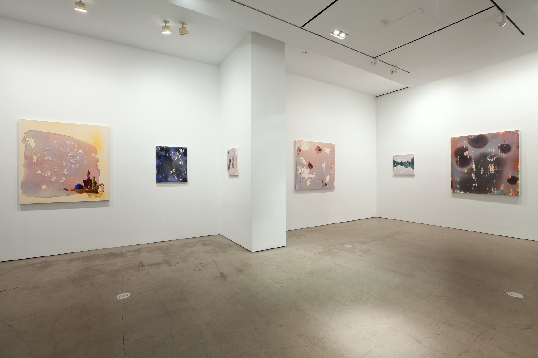 installation of paintings by Angelina Gualdoni