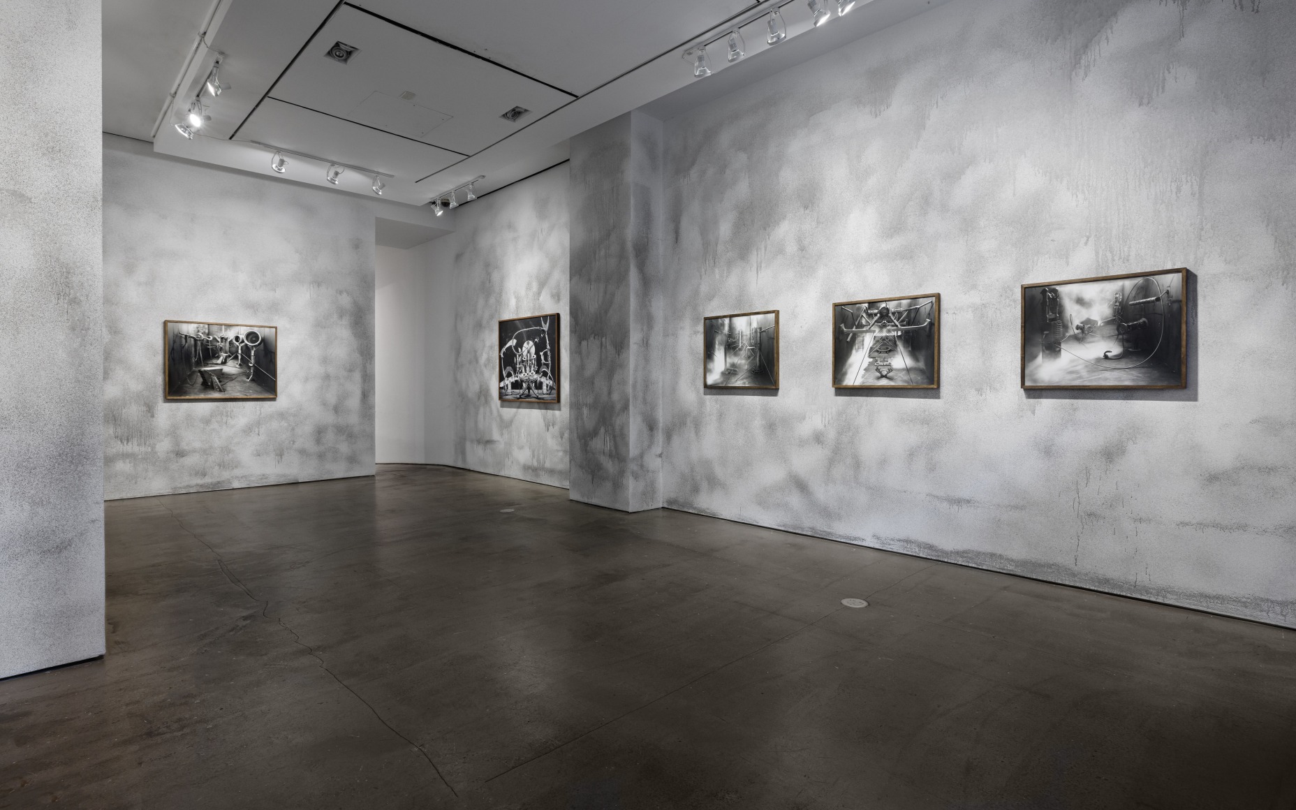 Rodrigo Valenzuela installation view