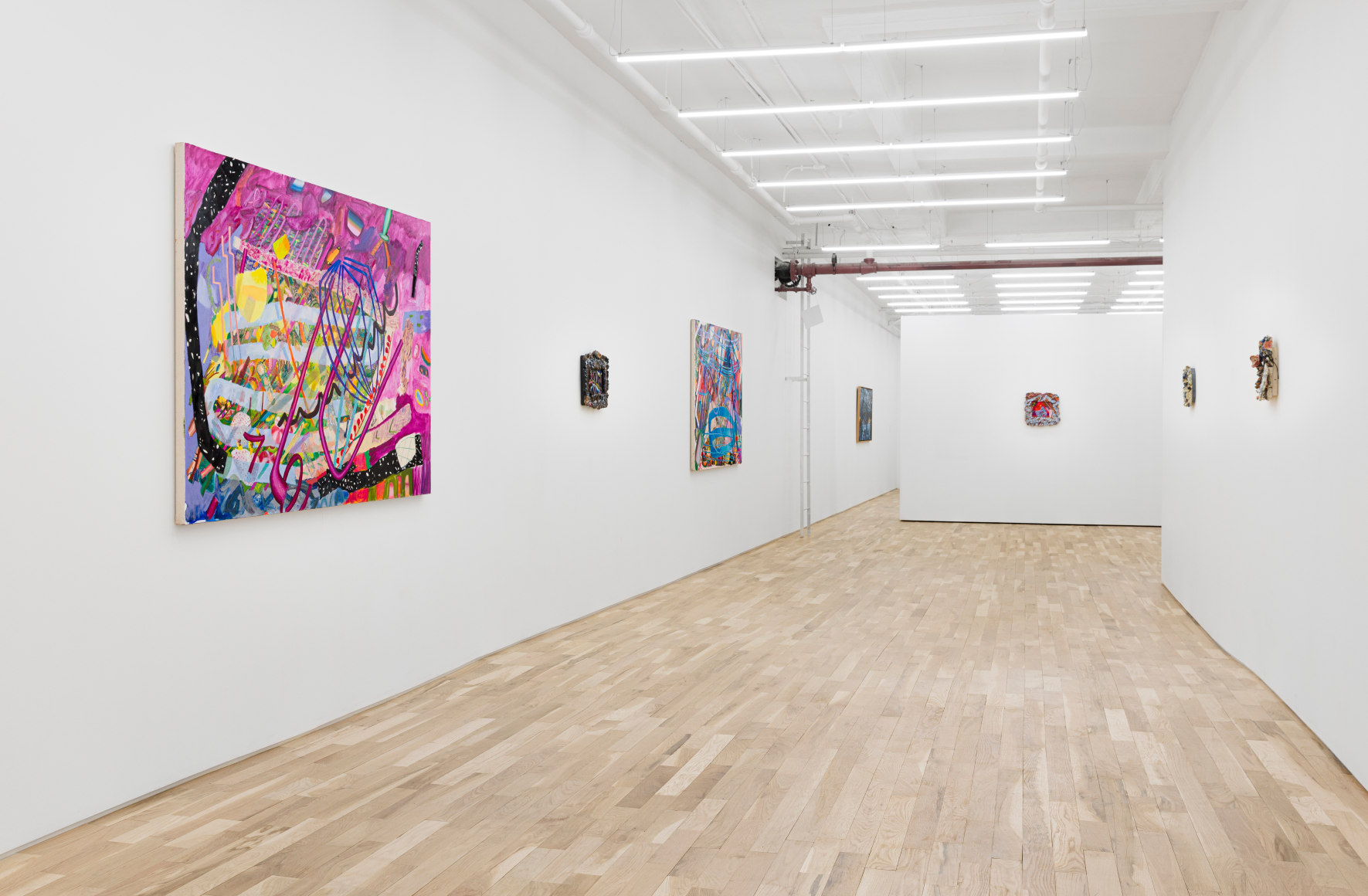 Carolyn Case Wild Domestic Installation View