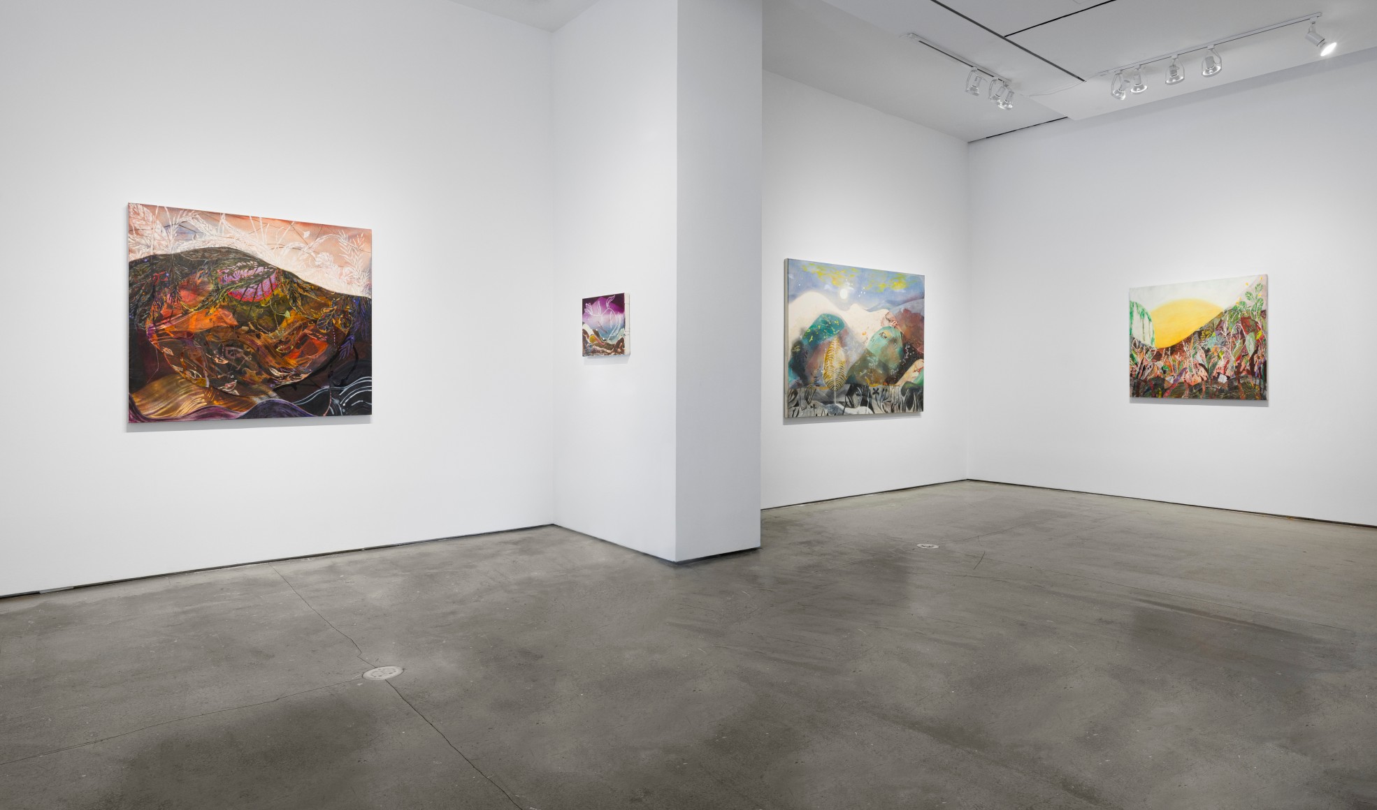 Angelina Gualdoni installation view