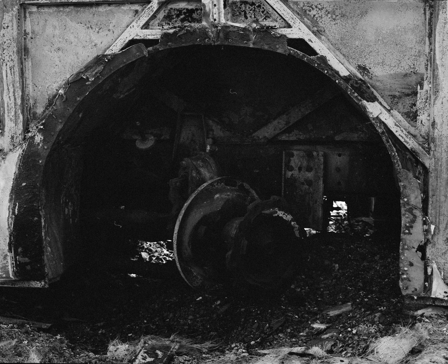 Photograph by Rodrigo Valenzuela