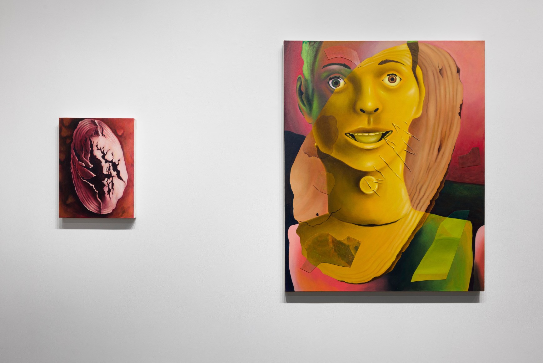Installation view of Kristen Sanders: "Protoself"