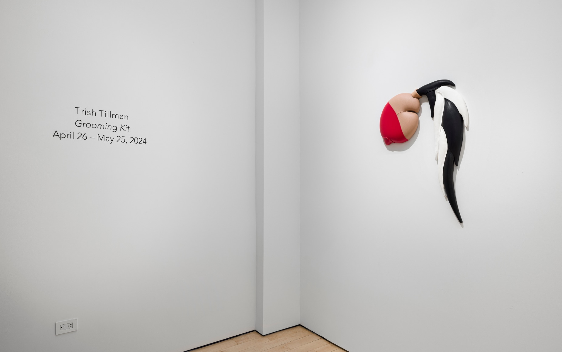 Trish Tillman Grooming Kit Installation View