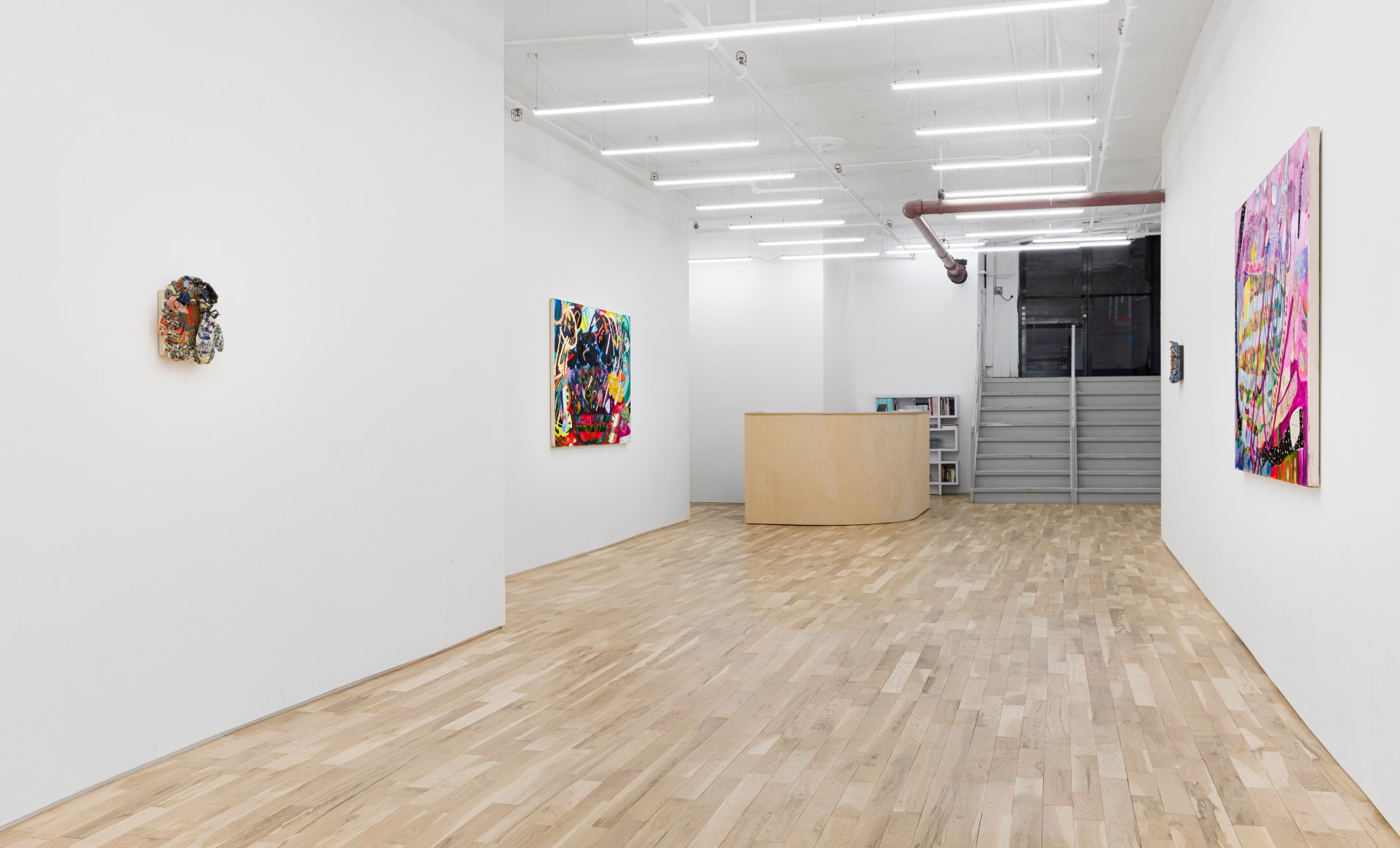 Carolyn Case Wild Domestic Installation View