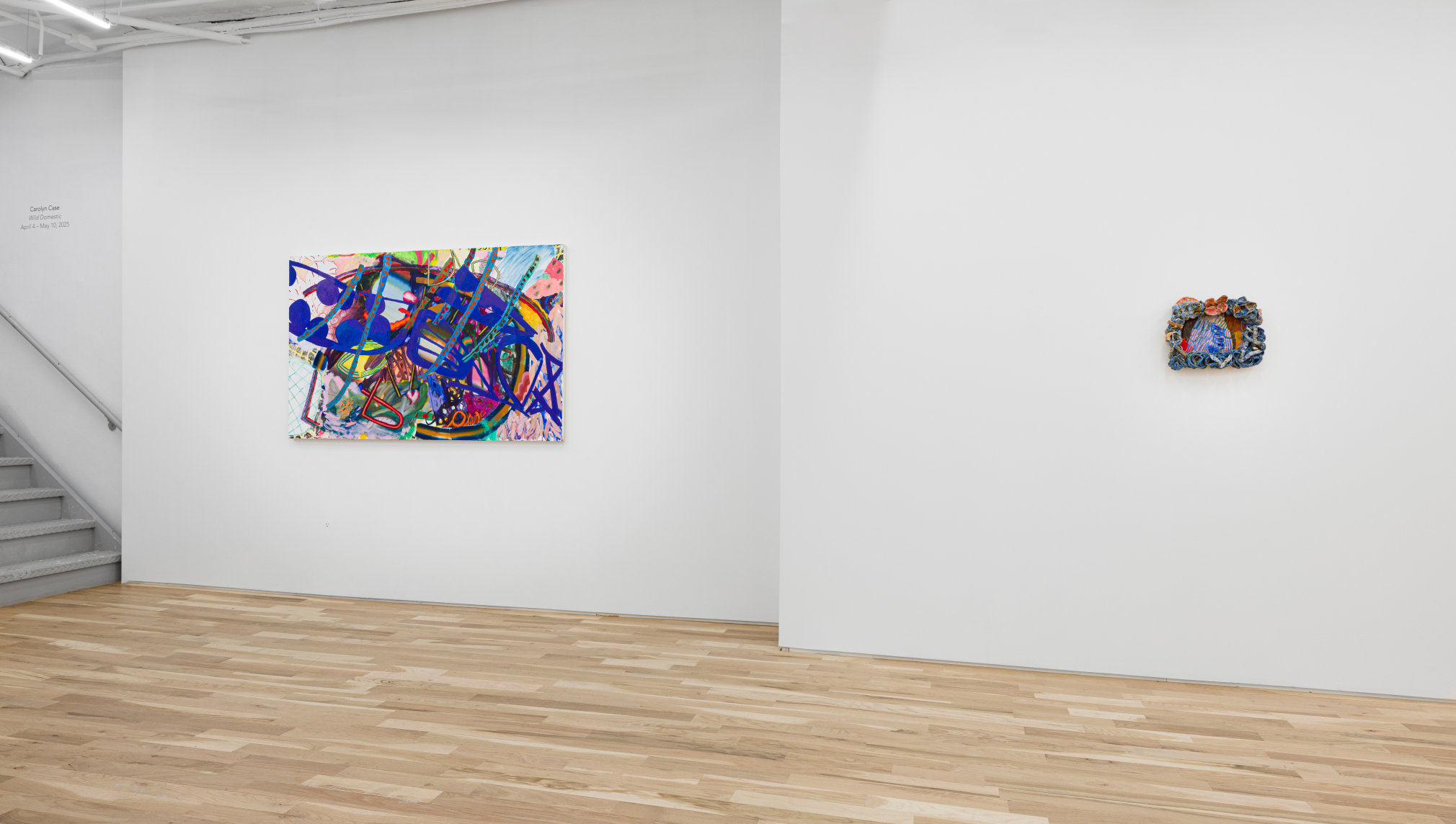 Carolyn Case Wild Domestic Installation View