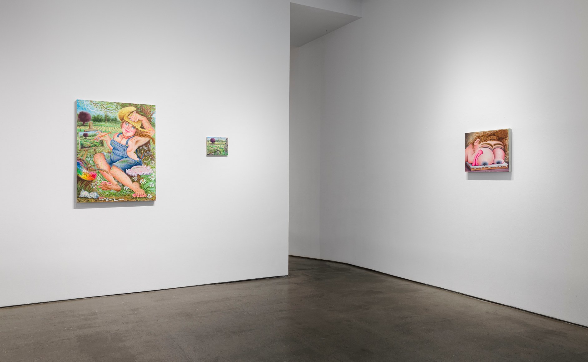 Installation view of Rebecca Morgan "Over the Hill"
