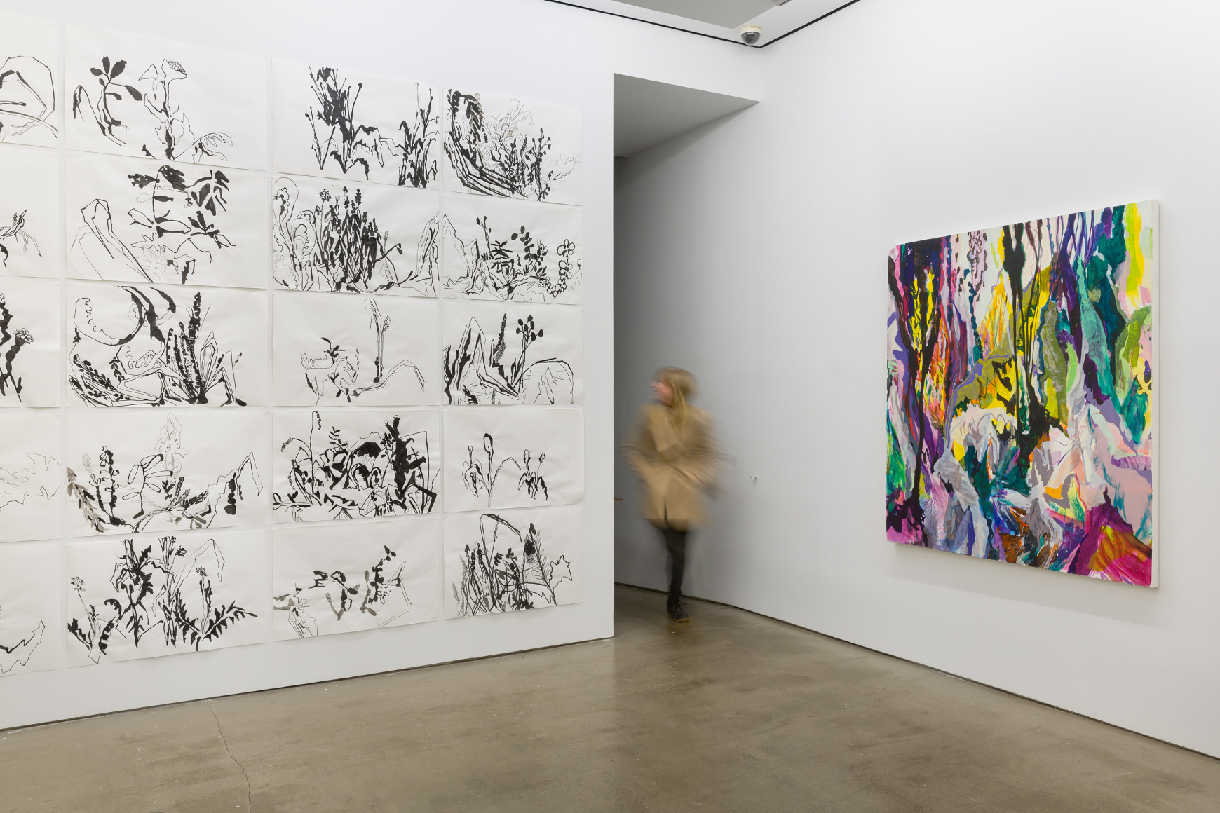 Installation view of Allison Gildersleeve's solo exhibition. Depicting abstracted floral paintings and drawings on the wall
