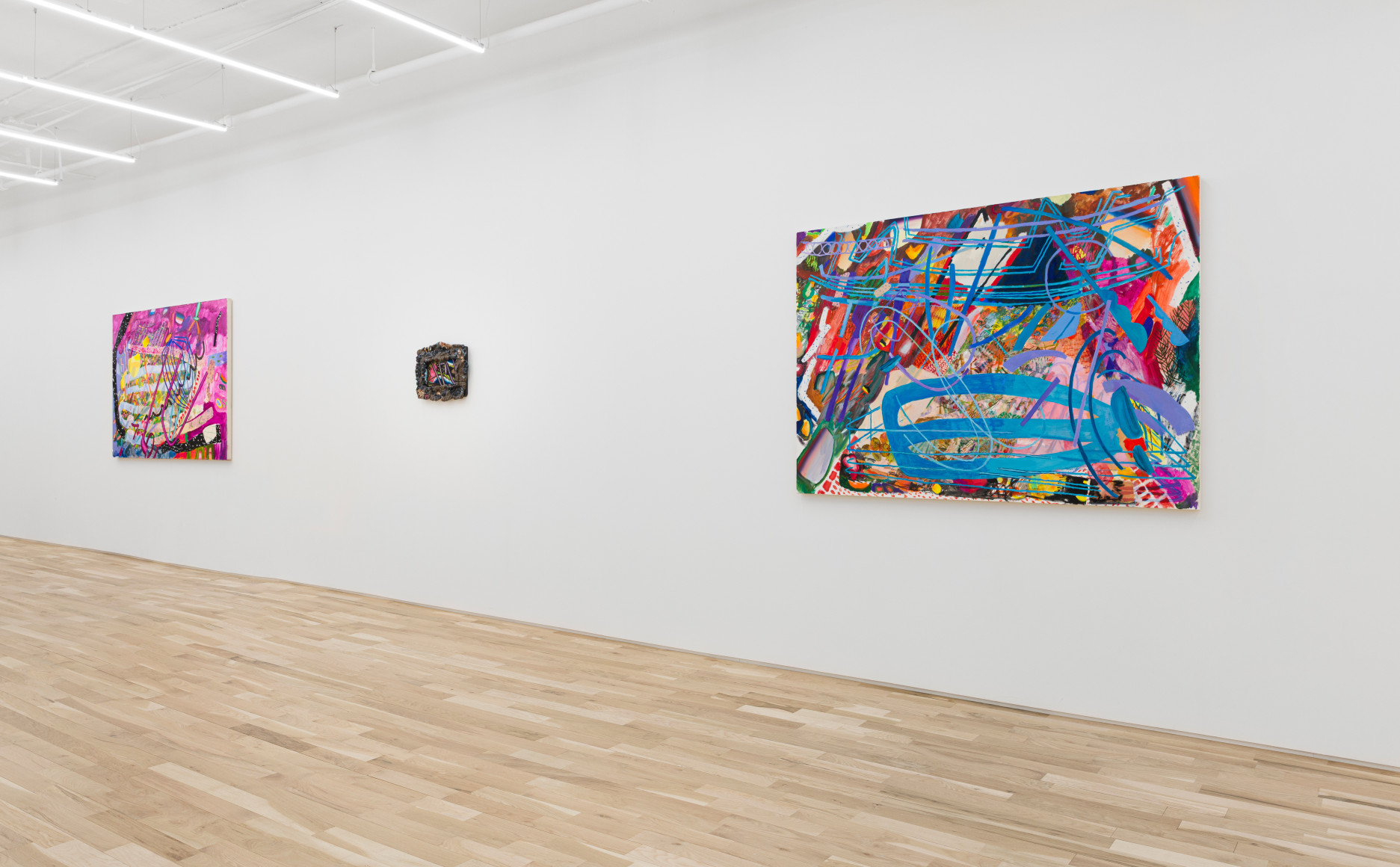 Carolyn Case Wild Domestic Installation View