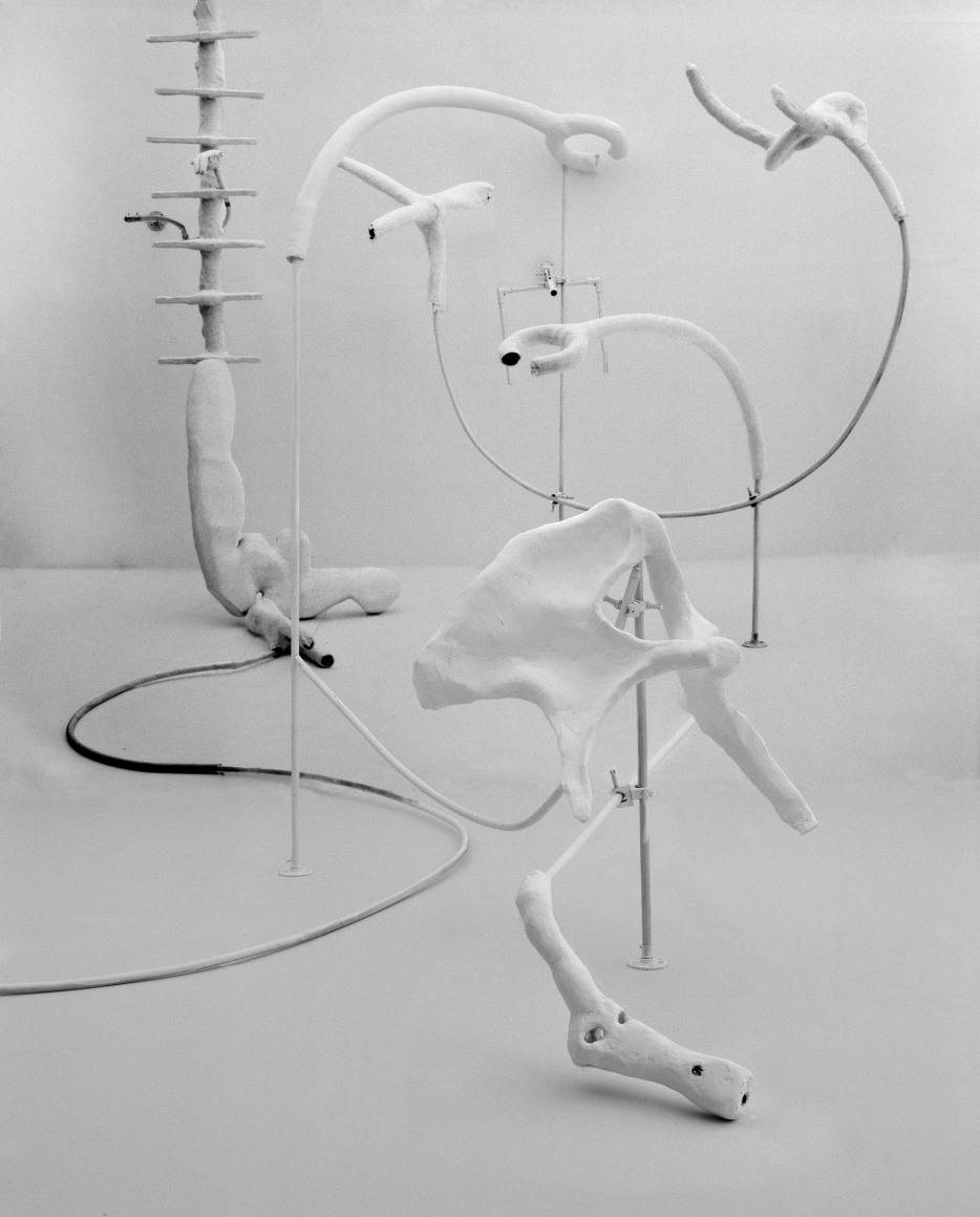 Photograph by Rodrigo Valenzuela