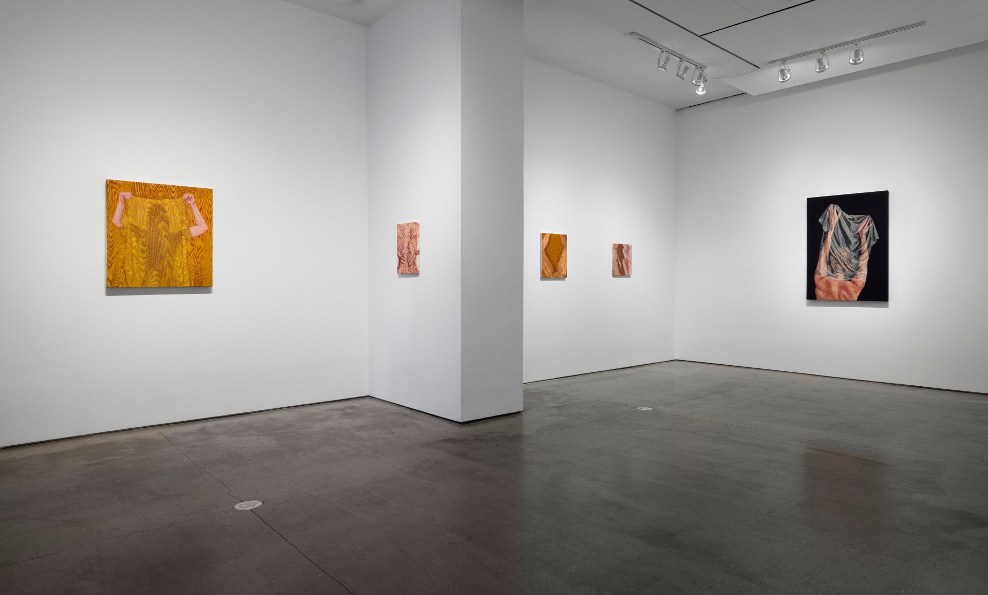 Installation view of Katarina Riesing "She Shed"