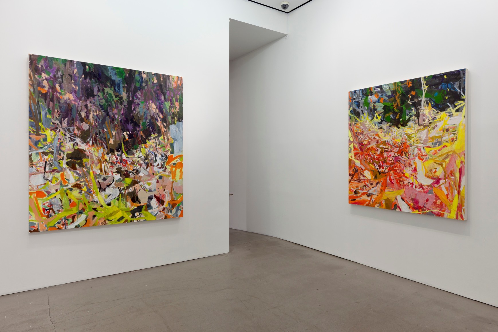 installation of paintings by Allison Gildersleeve