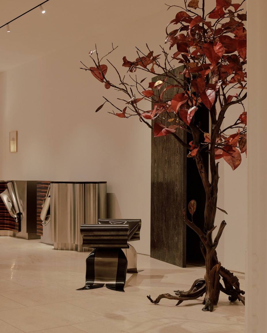 installation view of Precious Strength