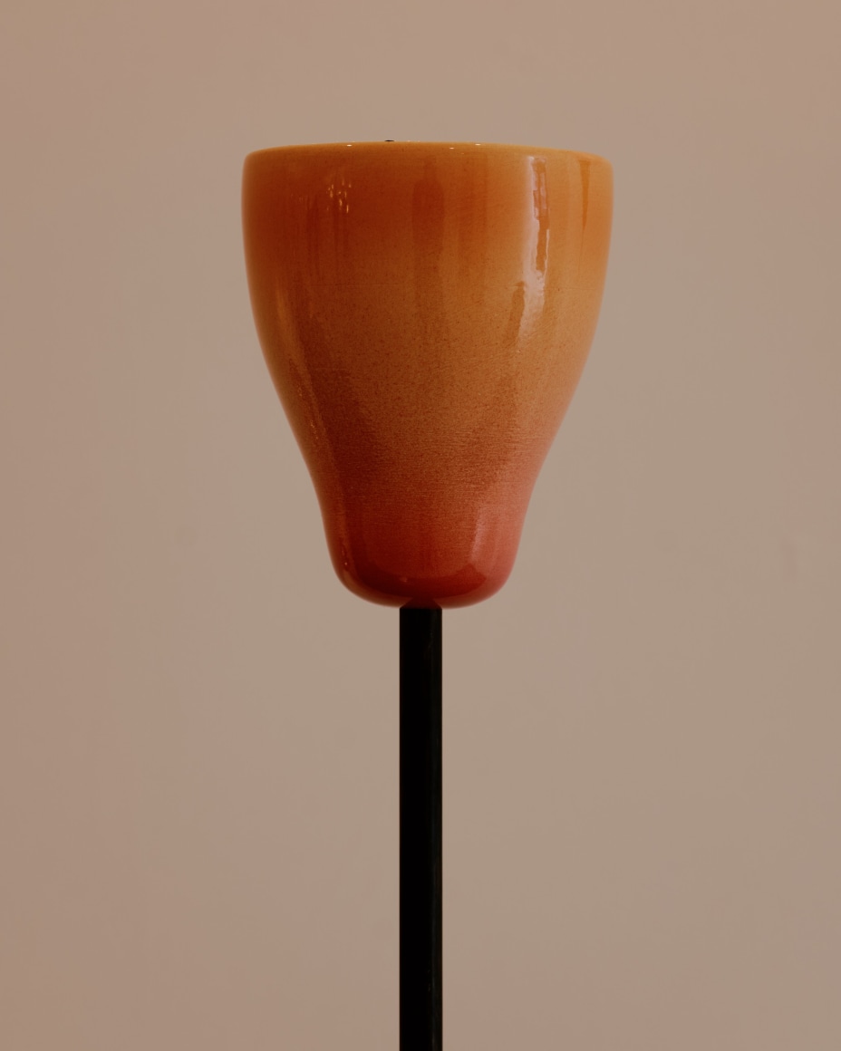 installation view for FLOWers