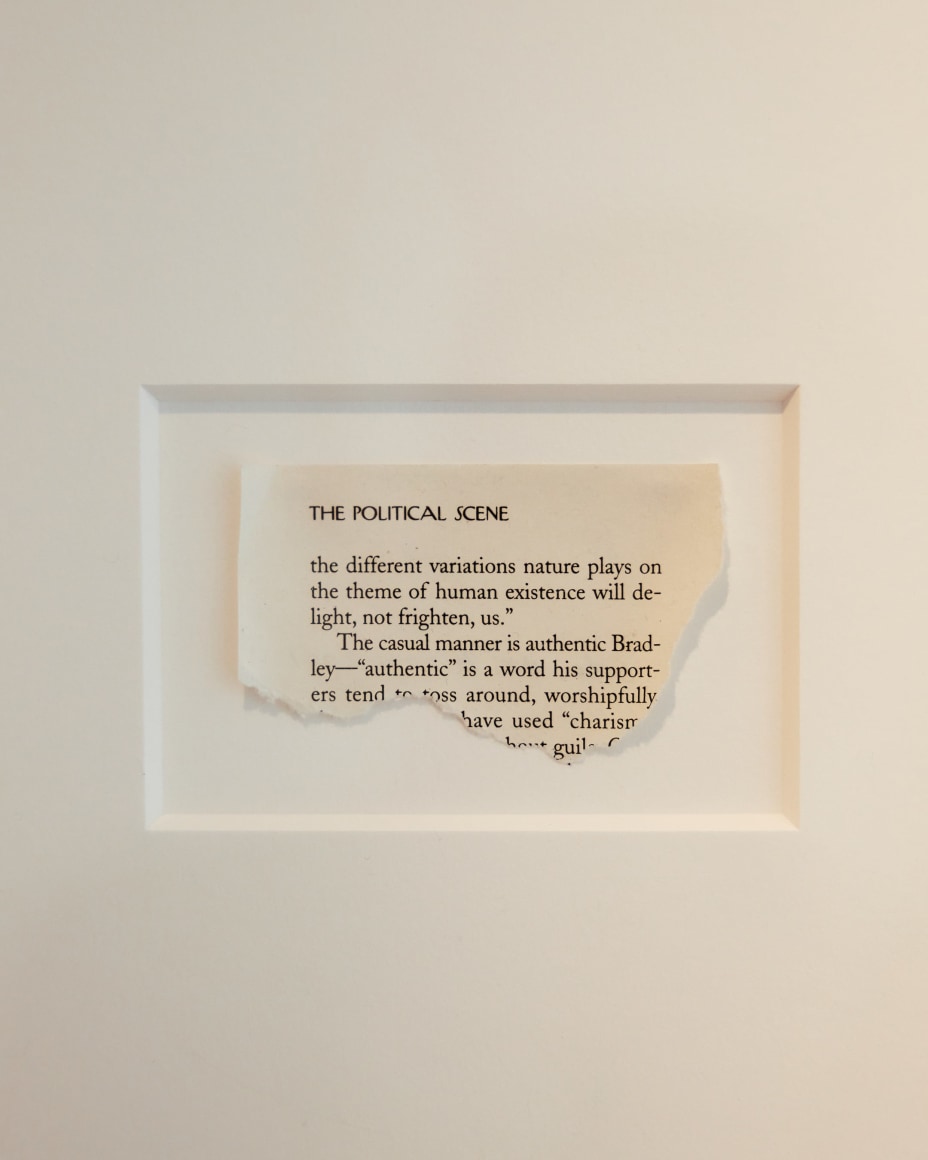 a newspaper clipping with teared edges