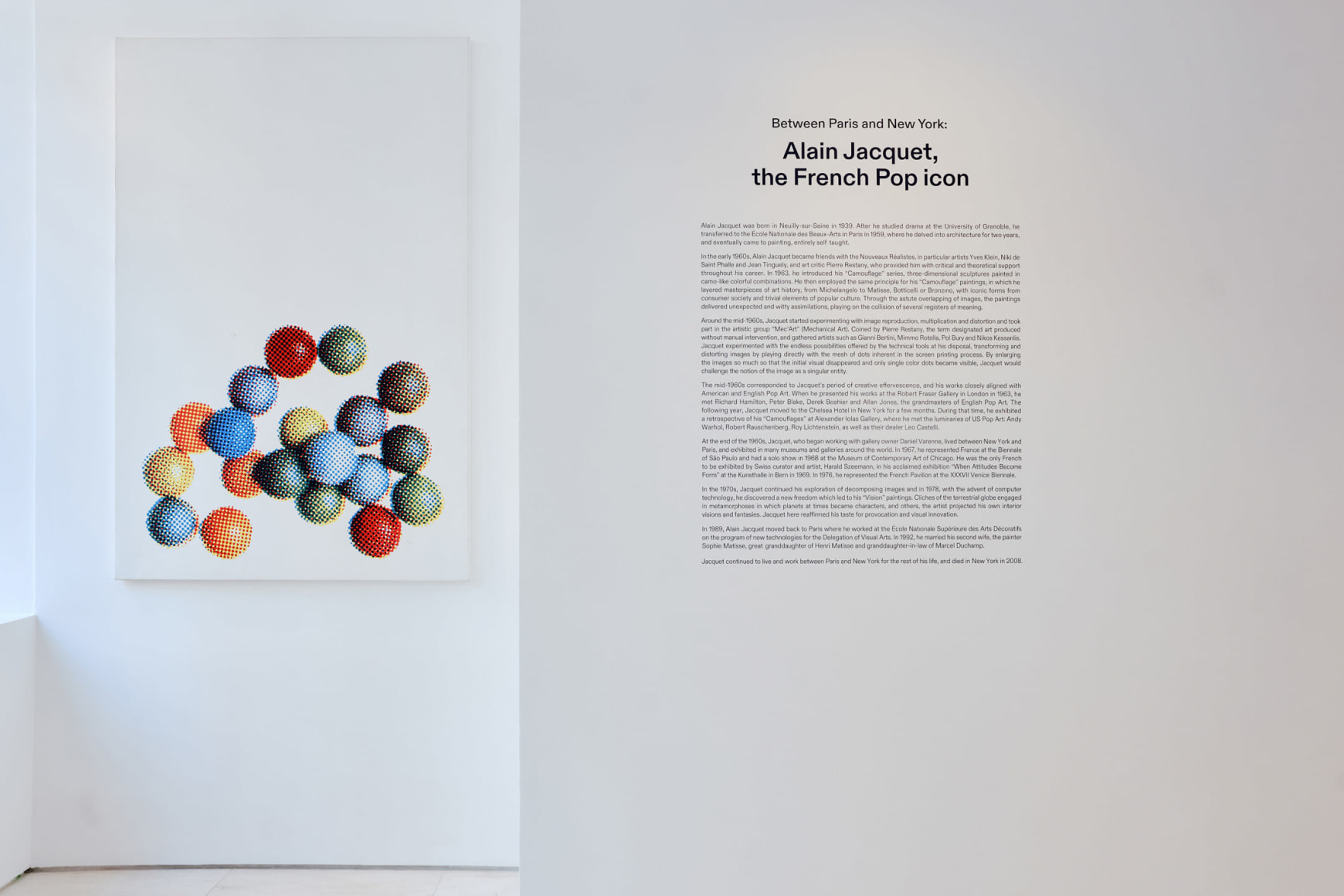 installation view of French POP 2024